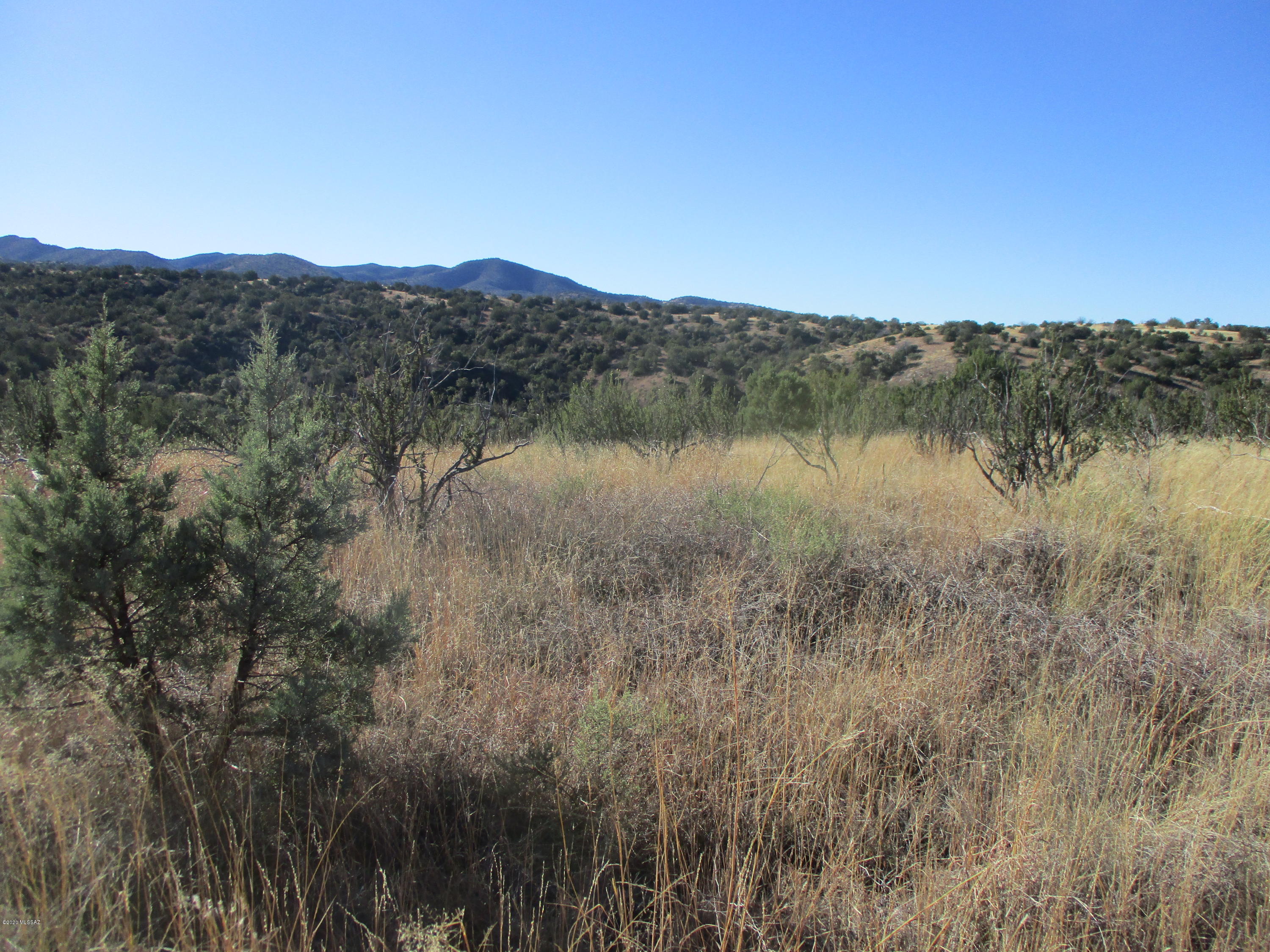 Tunnel Springs - Land