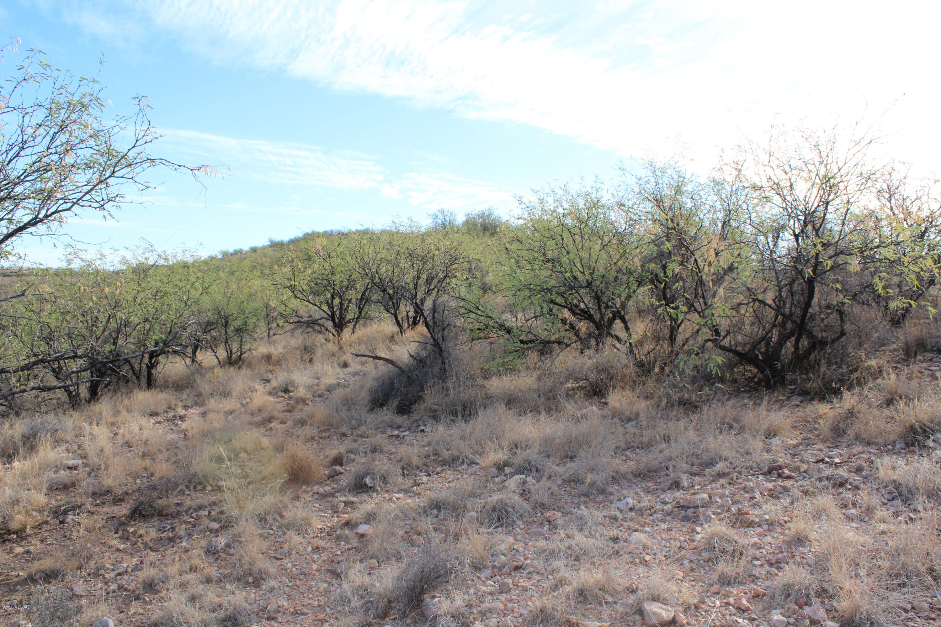 Rio Rico Estates - Land