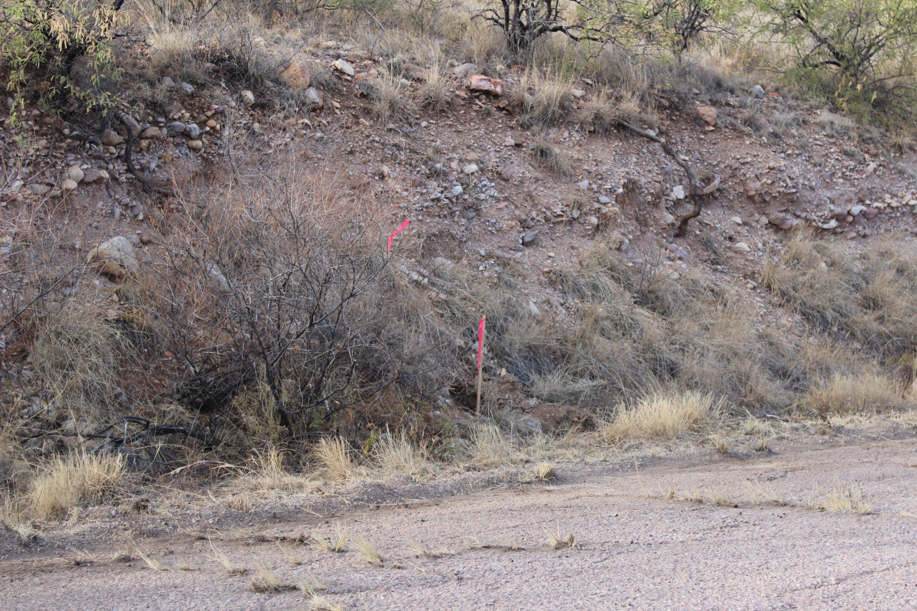 Rio Rico Estates - Land