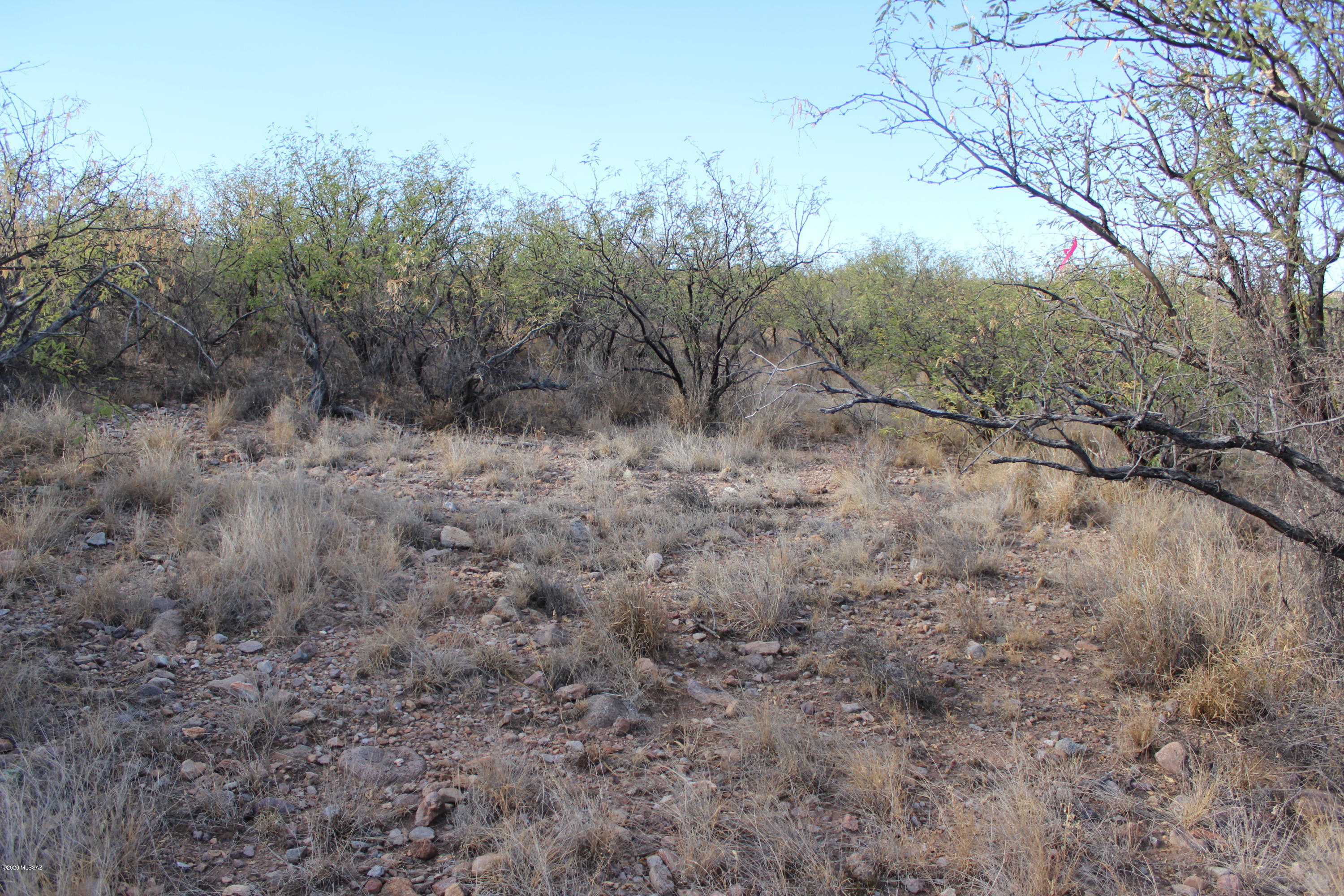 Rio Rico Estates - Land