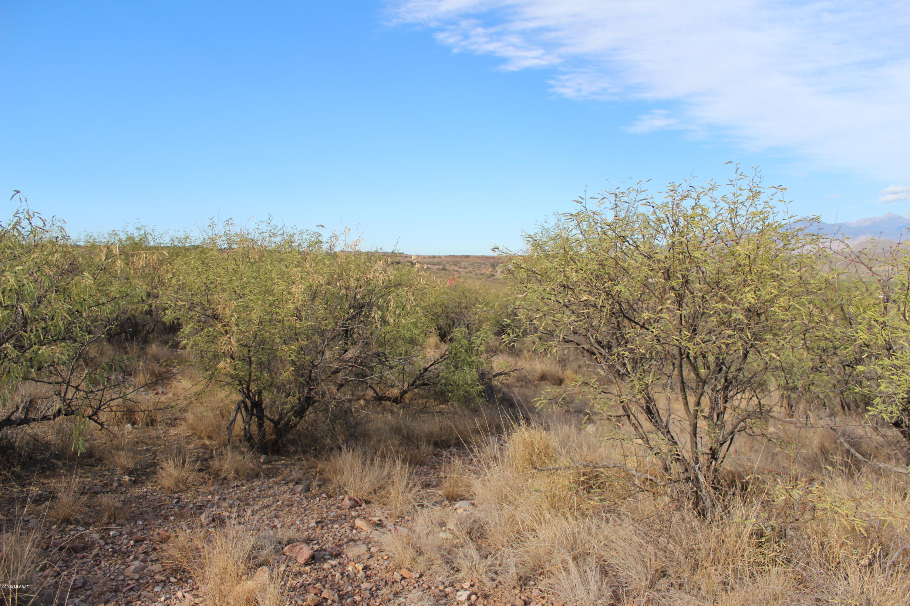 Rio Rico Estates - Land