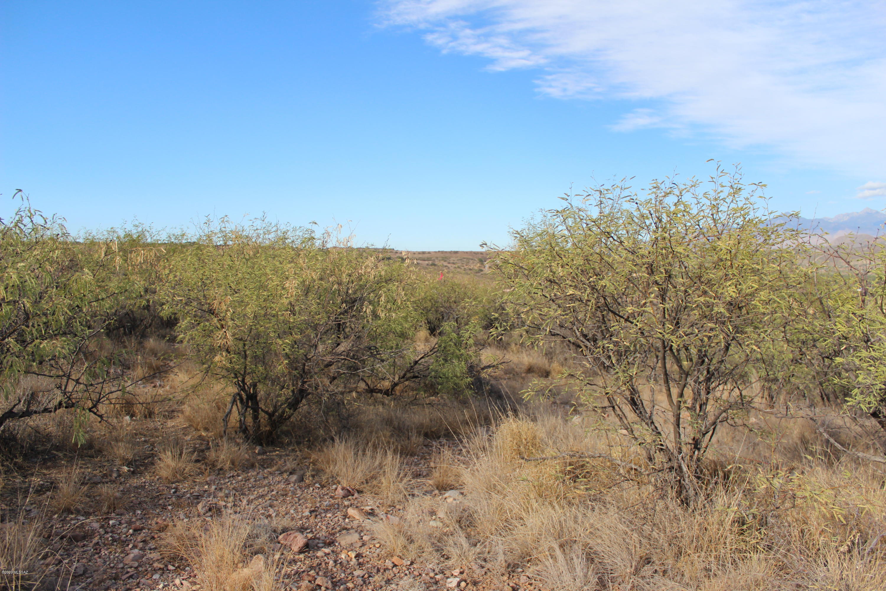 Rio Rico Estates - Land