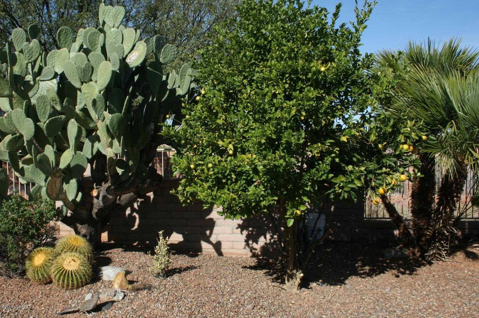 Madera Reserve Phase I(1-130) - Residential