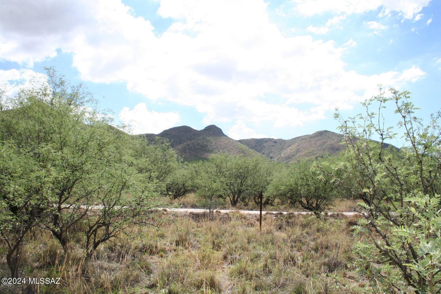 Morning Star Ranch - Land