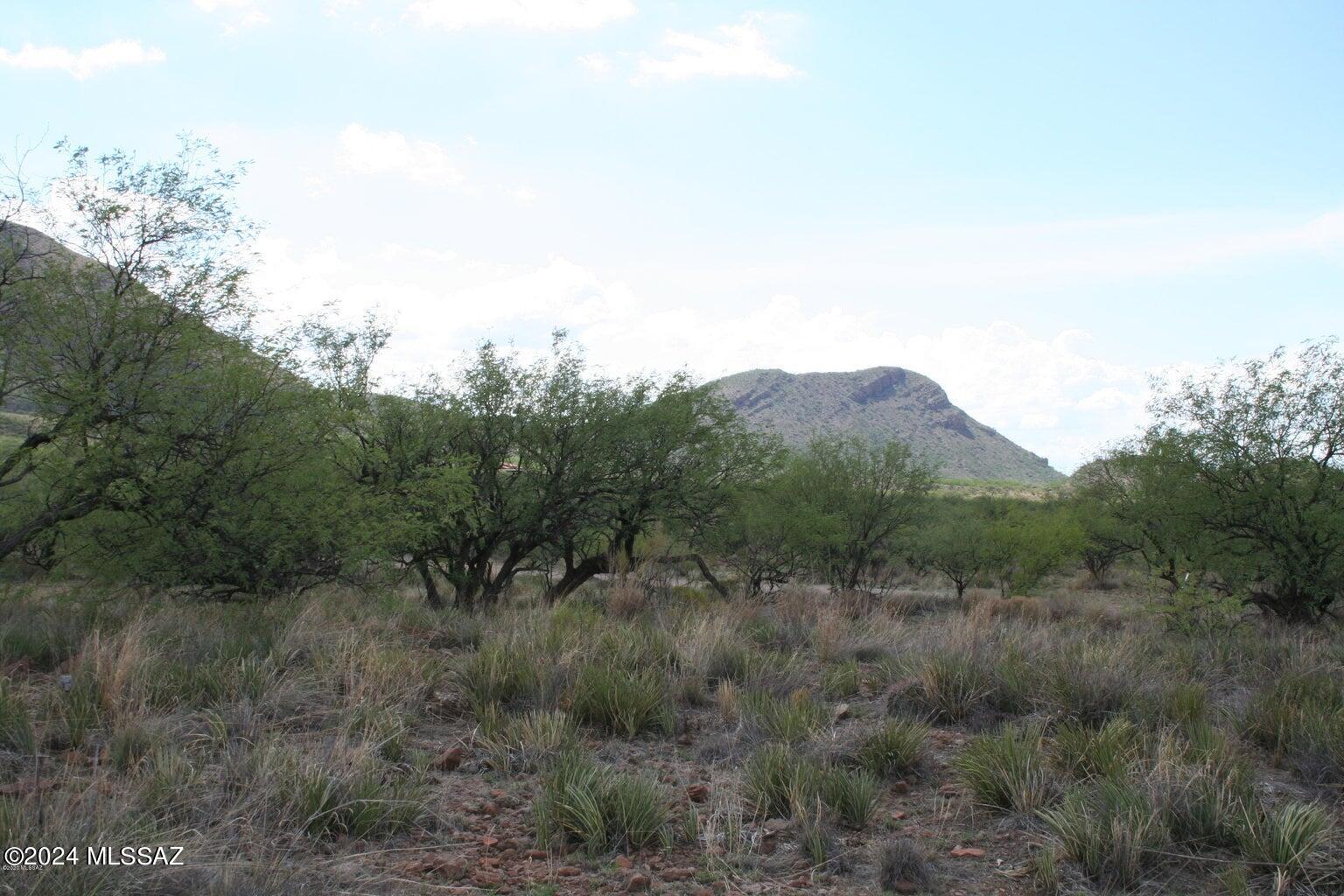 Morning Star Ranch - Land