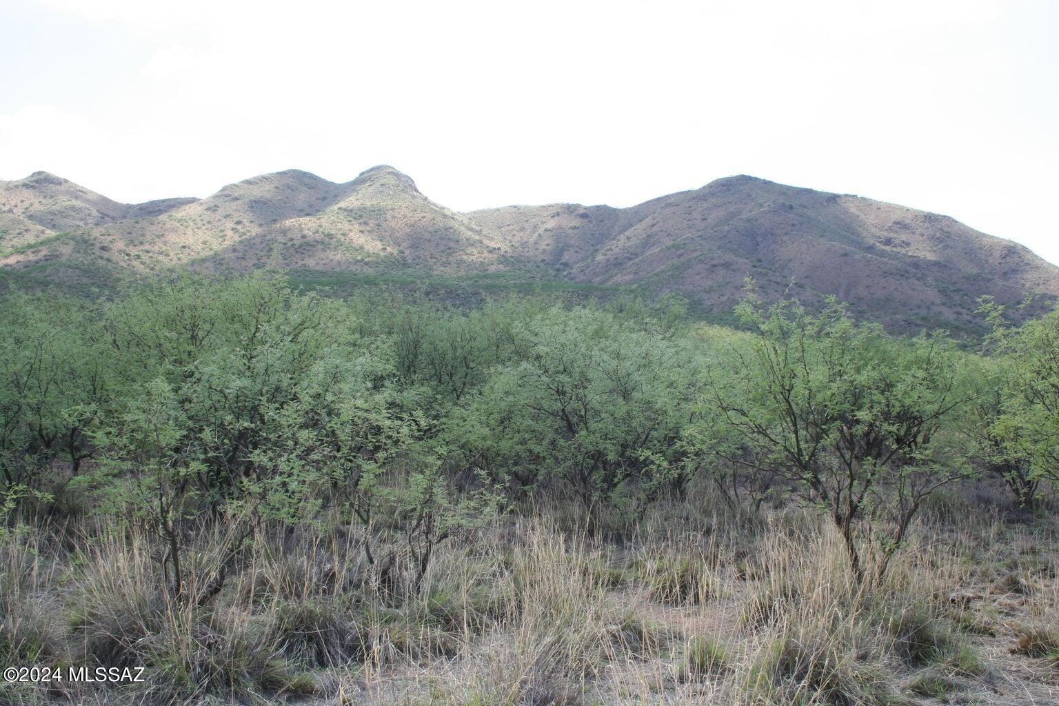 Morning Star Ranch - Land