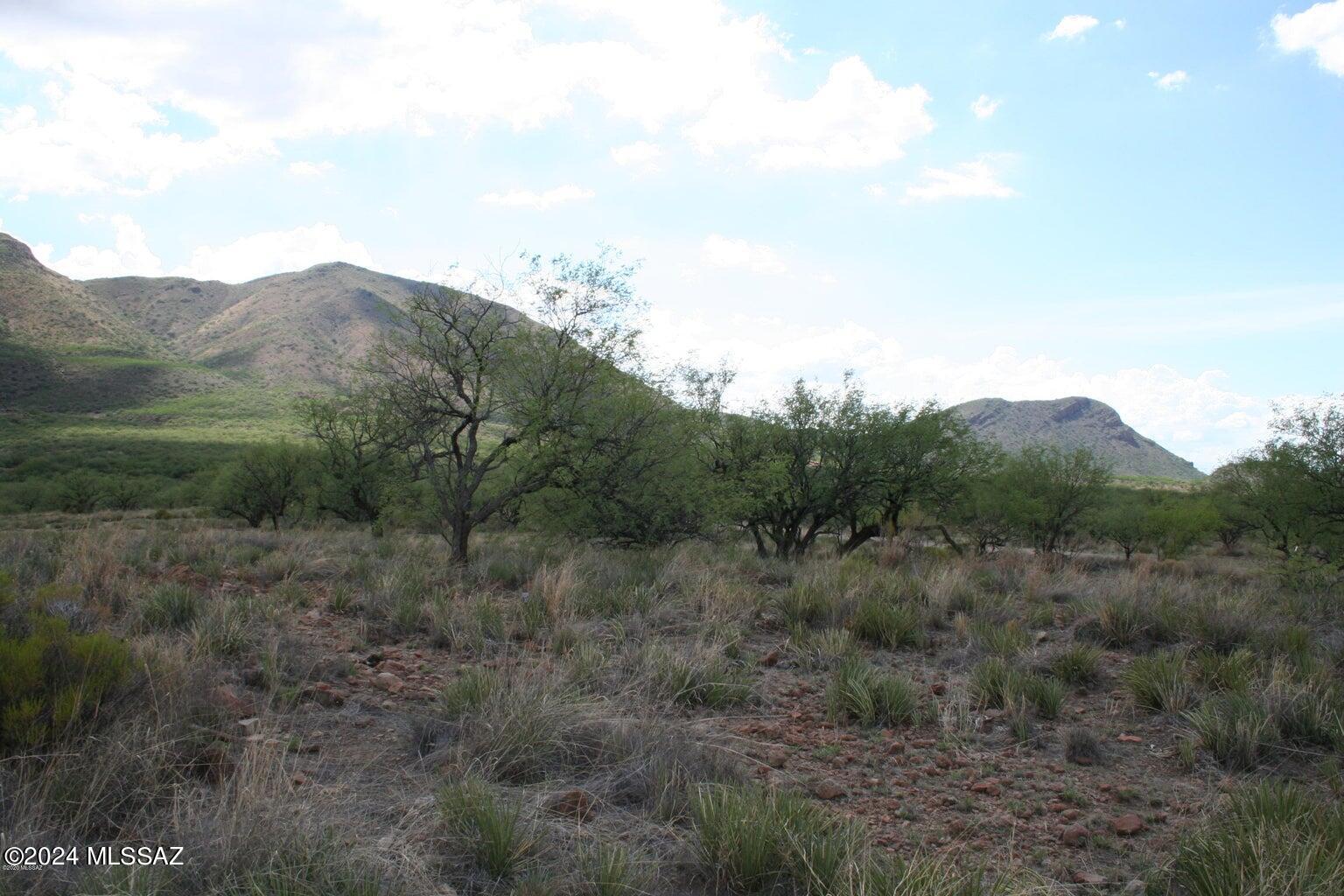 Morning Star Ranch - Land