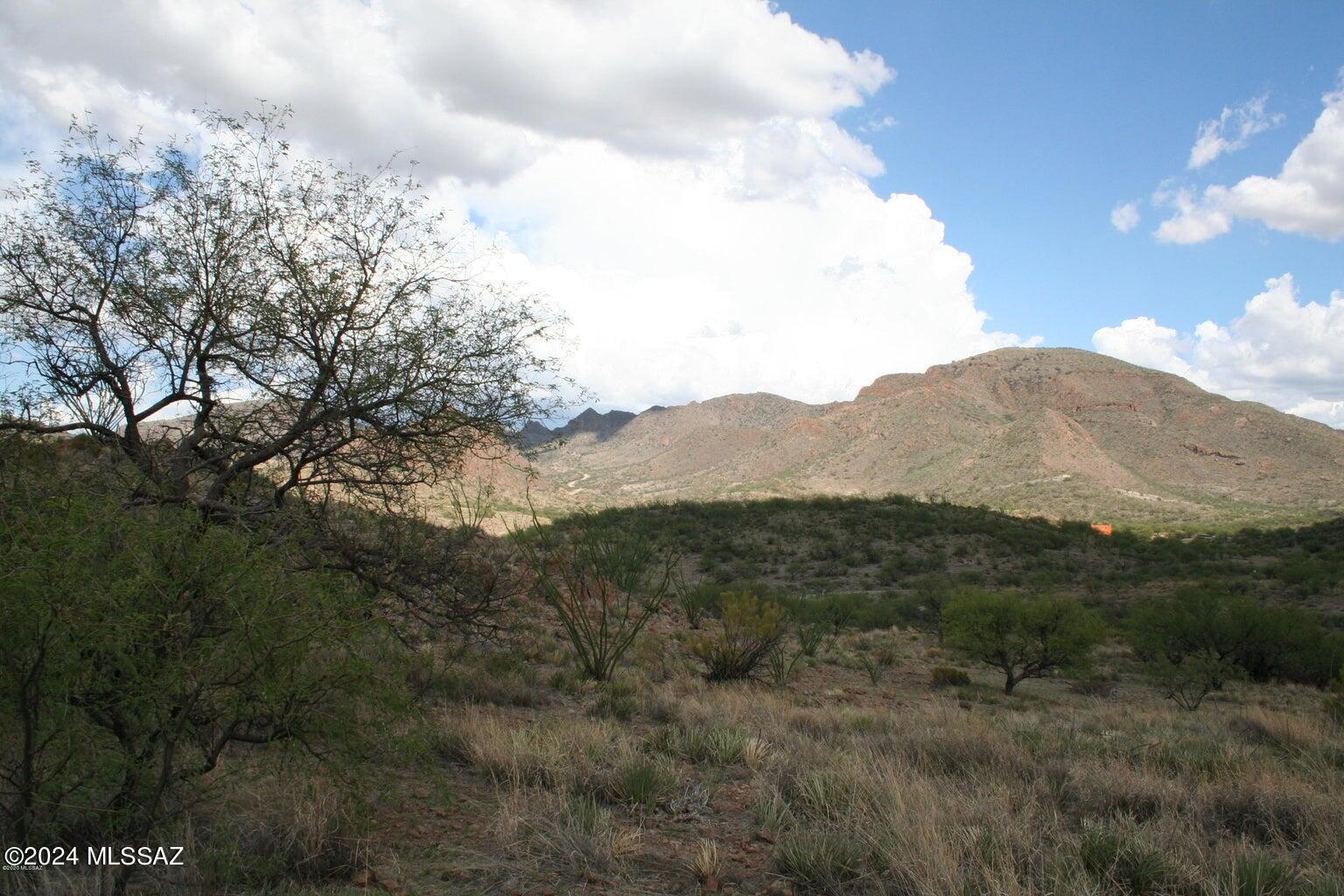Morning Star Ranch - Land