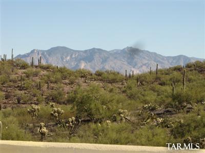 Coyote Pass Amended - Residential Lease