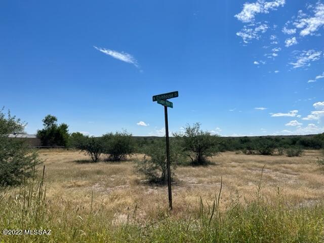 Willow Lakes - Land