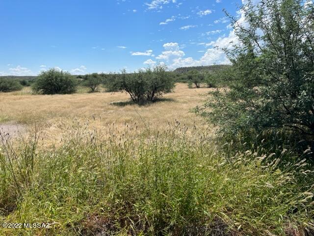 Willow Lakes - Land