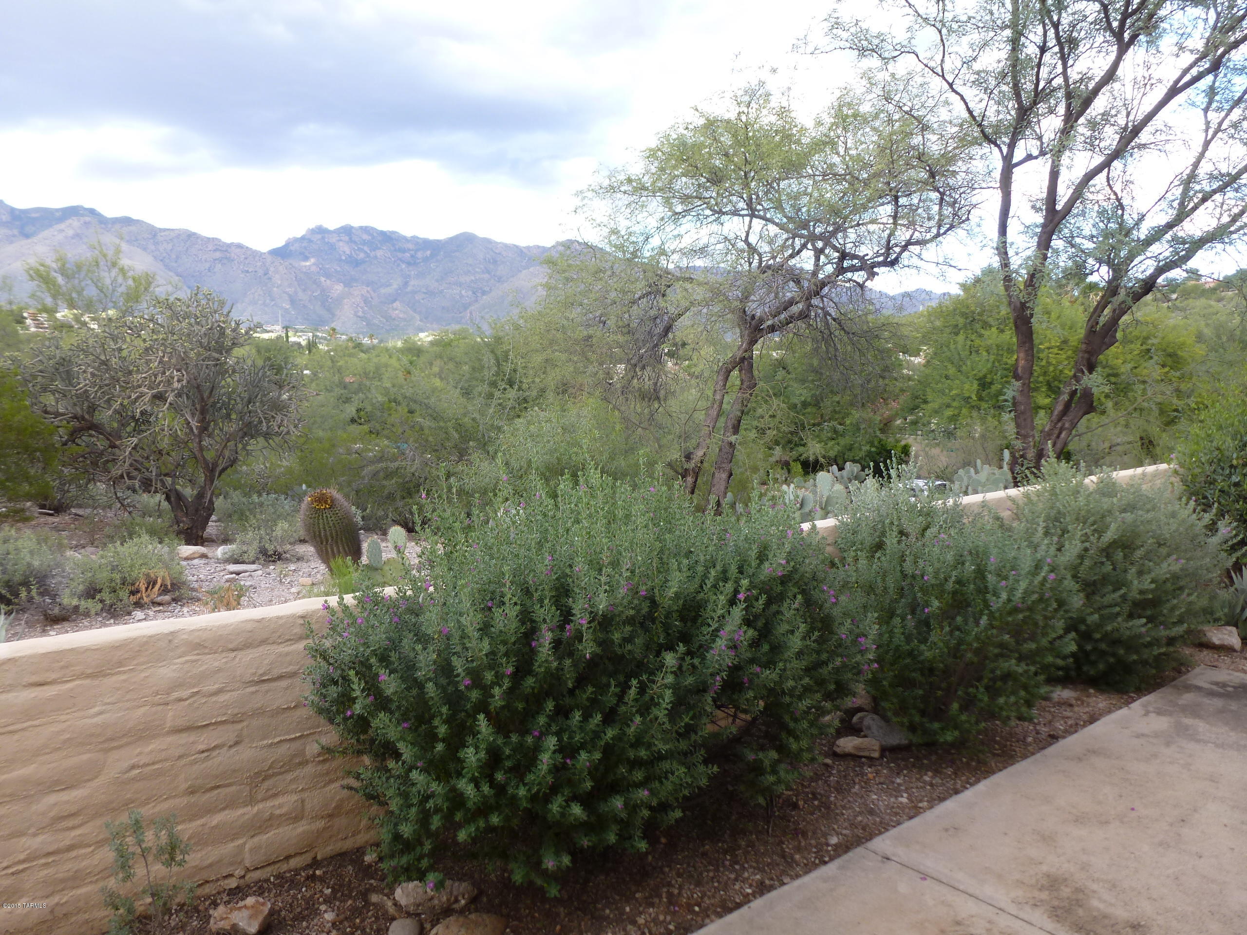 Terrific Foothills Townhome with wonderful Mt. Views from multiple windows, and the wraparound patio. This 2bed 2bath townhome is perfect for easy living with a spacious living room, great kitchen, large laundry/storage, private master suite, & low maintenance yard with great views! Located near the community facilities with heated pool, lighted tennis and pickle ball courts.    All this just around the corner from coffee shops, market, restaurants, and pharmacy at Sunrise & Swan. Dist. 16 schools