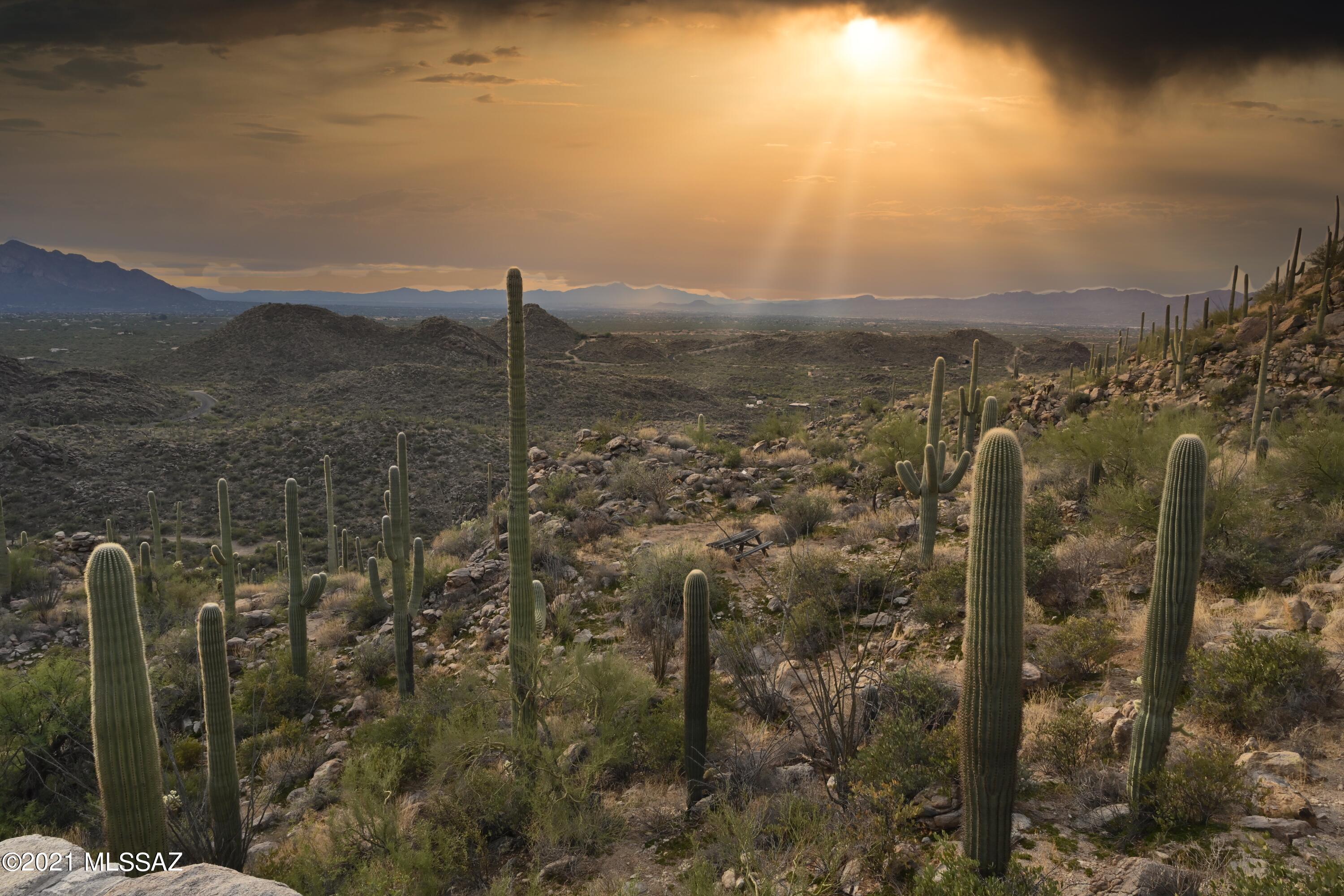 Saguaro Ranch South Amended - Land