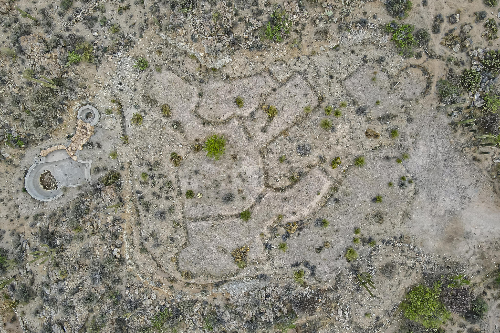 Saguaro Ranch South Amended - Land
