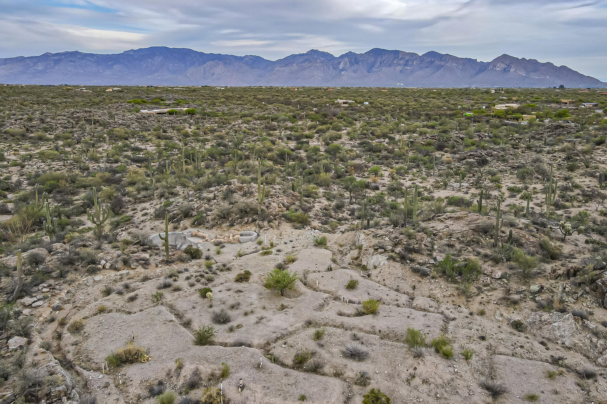 Saguaro Ranch South Amended - Land