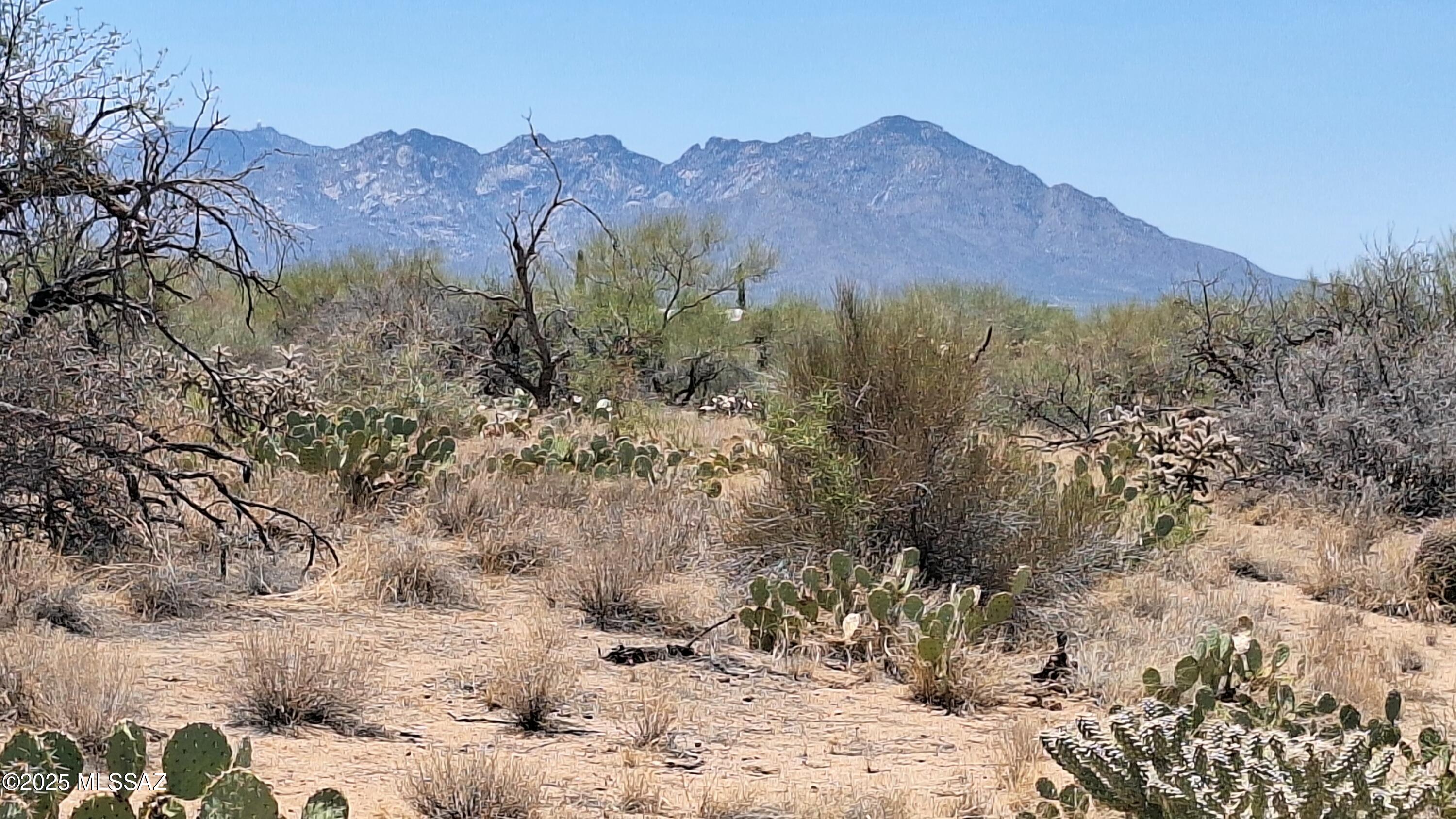 Motivated seller—may finance! No HOA, horses allowed, adjacent to State Land, this is a prime location for your custom home, and it's one of the few parcels in the area with city water at the lot line. Here's your chance to own 1.34 acres of desert wilds located on the west side of the breathtaking Southern Arizona Sky Islands, in the Diamond Bell Ranch area. this parcel offers sweeping views of the nearby Sierrita Mountains, the iconic Kitt Peak—home to one of the world's leading astronomical observatories—and the sacred Baboquivari Peak Wilderness, known to the Tohono O'odham Nation as ''La Bestia.'' The area is renowned for its stargazing, unforgettable sunrises and sunsets, and majestic mountain views.