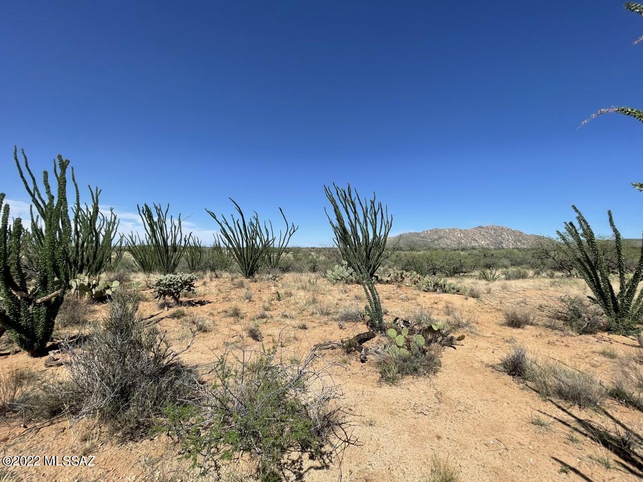 Diamond Bell Ranch - Tucson Unit 5 (1-521) - Land