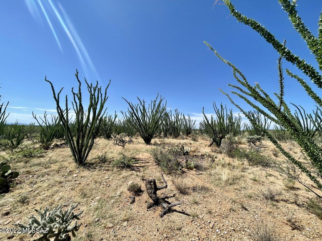 Diamond Bell Ranch - Tucson Unit 5 (1-521) - Land