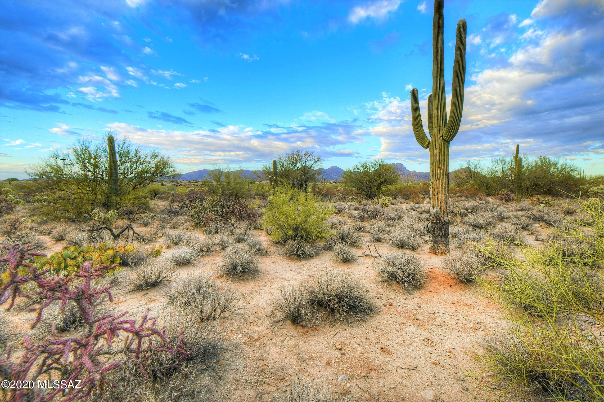 Preserve at Dove Mountain (1-182) - Residential