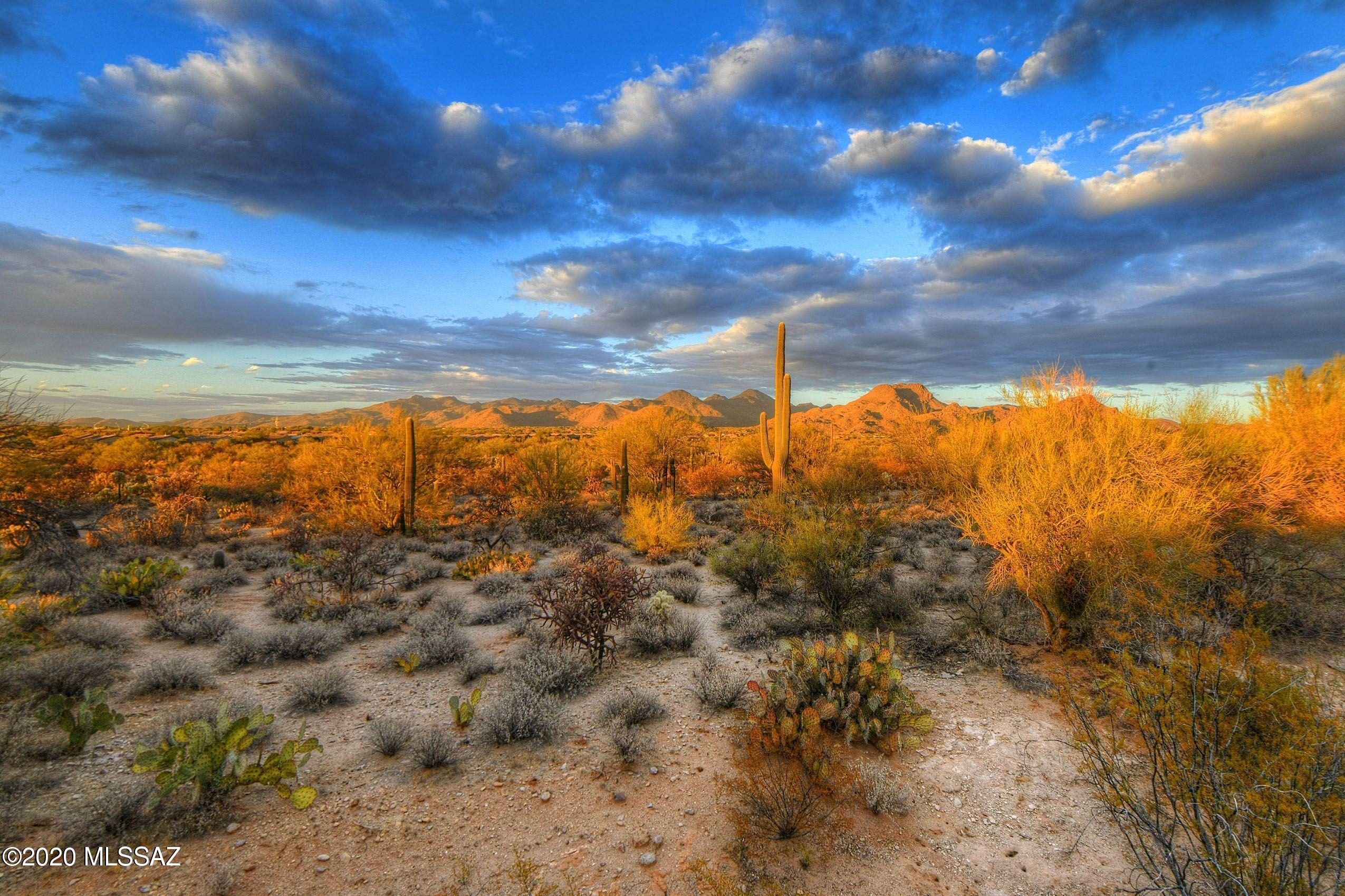 Preserve at Dove Mountain (1-182) - Residential