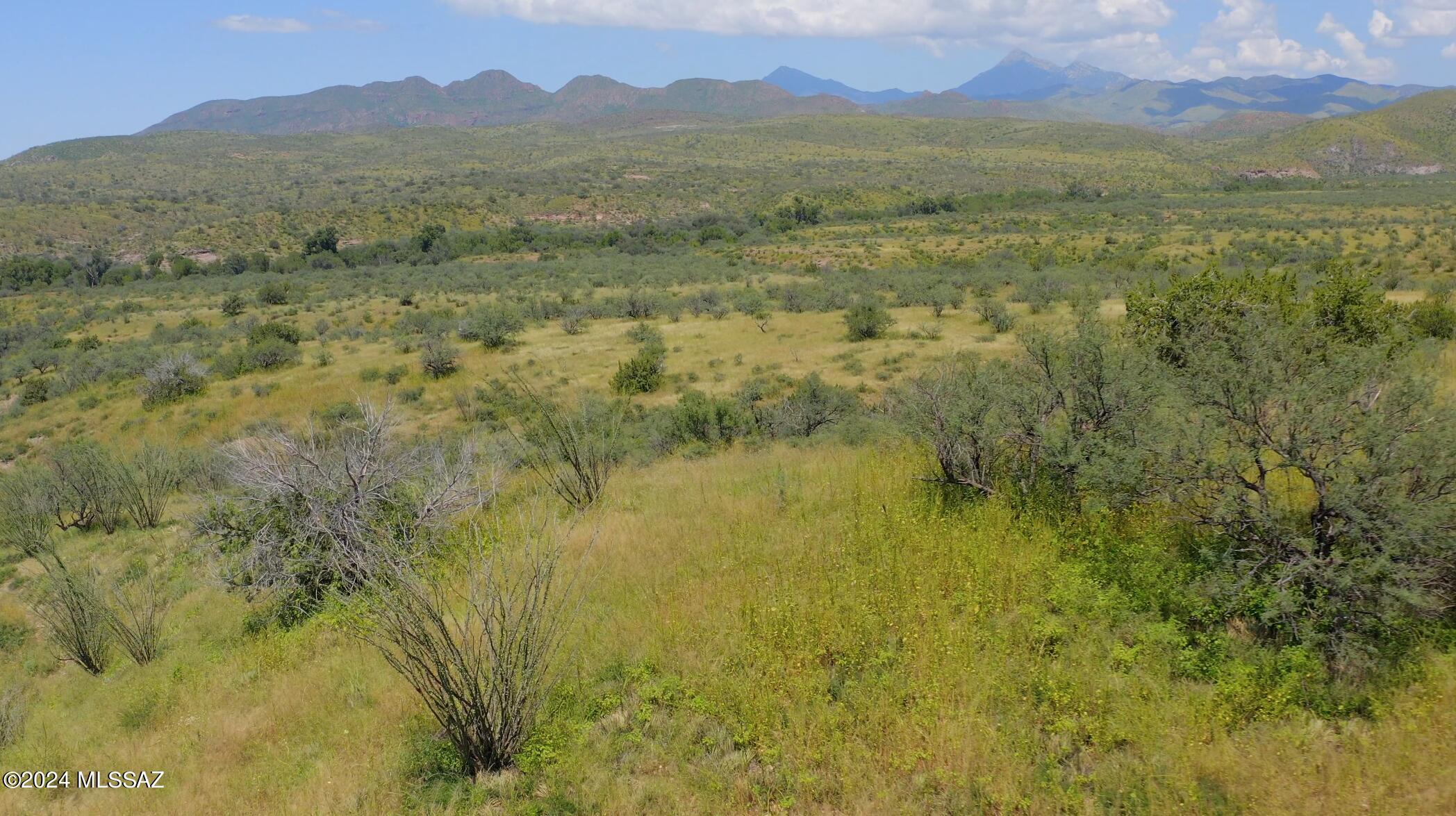 Gated Community in Gorgeous Historic Ranch Land! Incredible mountain views, this property is just minutes from Patagonia Lake State Park for fishing, boating, hiking, trail riding, etc. Walking distance to Sonoita Creek from this parcel. Several flat building sites available, with very private unobstructed views. Multiple access points are from either Rio Rico or Patagonia area which makes this parcel very versatile. It is the perfect place to retreat from the warmer climates like Phoenix or Tucson with high desert elevation! Property has been surveyed. This is a beautiful Ranch Community with privacy and quiet stary night skies! Low Agricultural Taxes. Call Me for showing!