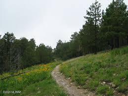 Fetzer Ranch (1-60) - Land