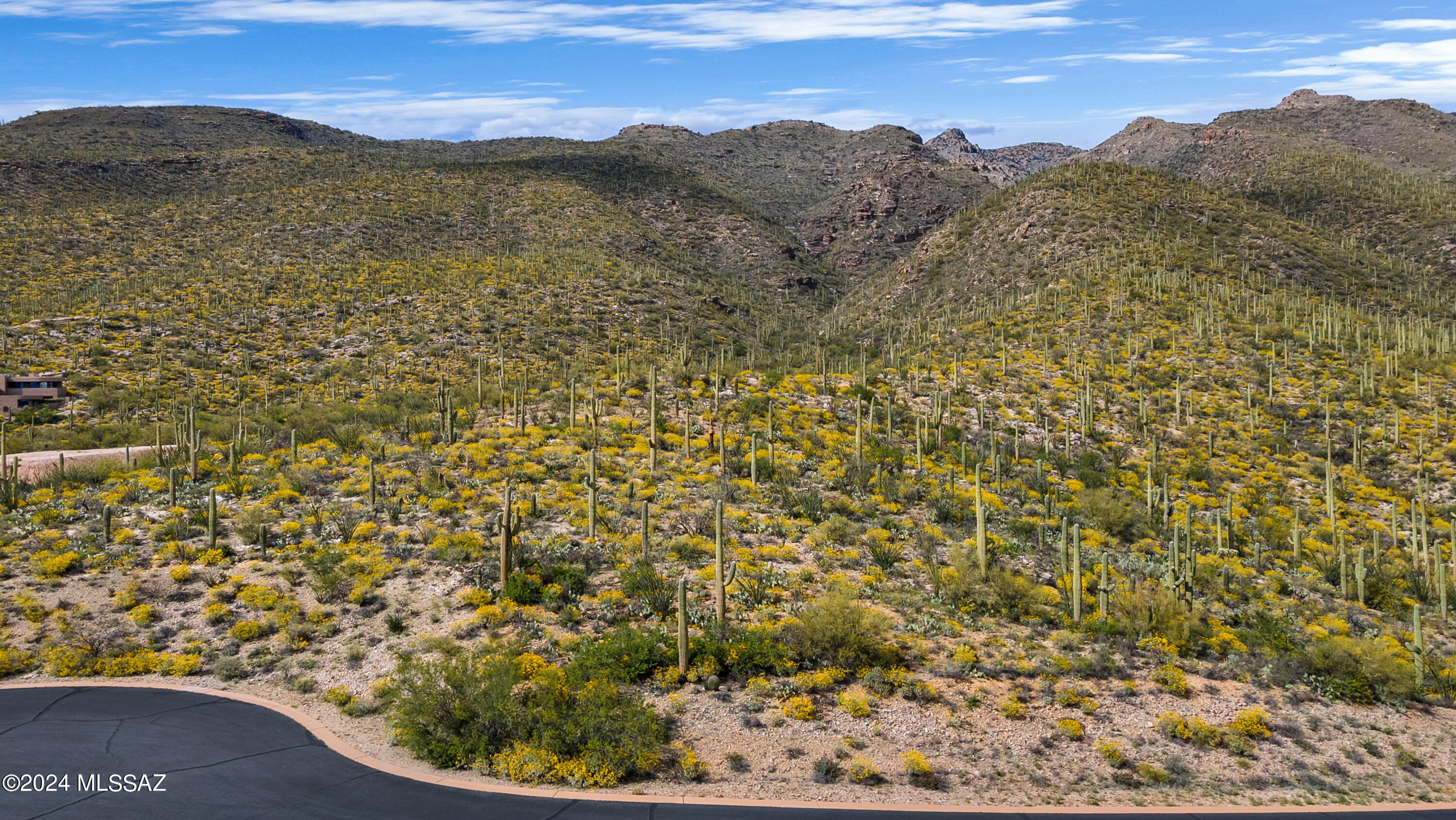 Premium 3.37 cul-de-sac homesite perched high above the valley providing spellbinding views of the city lights & up-close views of the saguaro-studded mountains. Experience Tucson's iconic sunsets from your own private desert sanctuary in the Tanque Verde Valley.  Located in gated Saguaro Hills within minutes of the AZ National Golf Course & extraordinary hiking, biking & horse-back riding trails. The dramatic scenery showcases the rugged, cactus laden canyons, rock outcroppings & the lush vegetation. Perfect destination for nature lovers who like to have amenities like golf, restaurants and shopping within reach.  Direct access to Mt. Lemmon for spectacular hiking, biking, skiing, fishing, camping & rock climbing. A great summer escape for enjoying activities in much cooler temperatures.