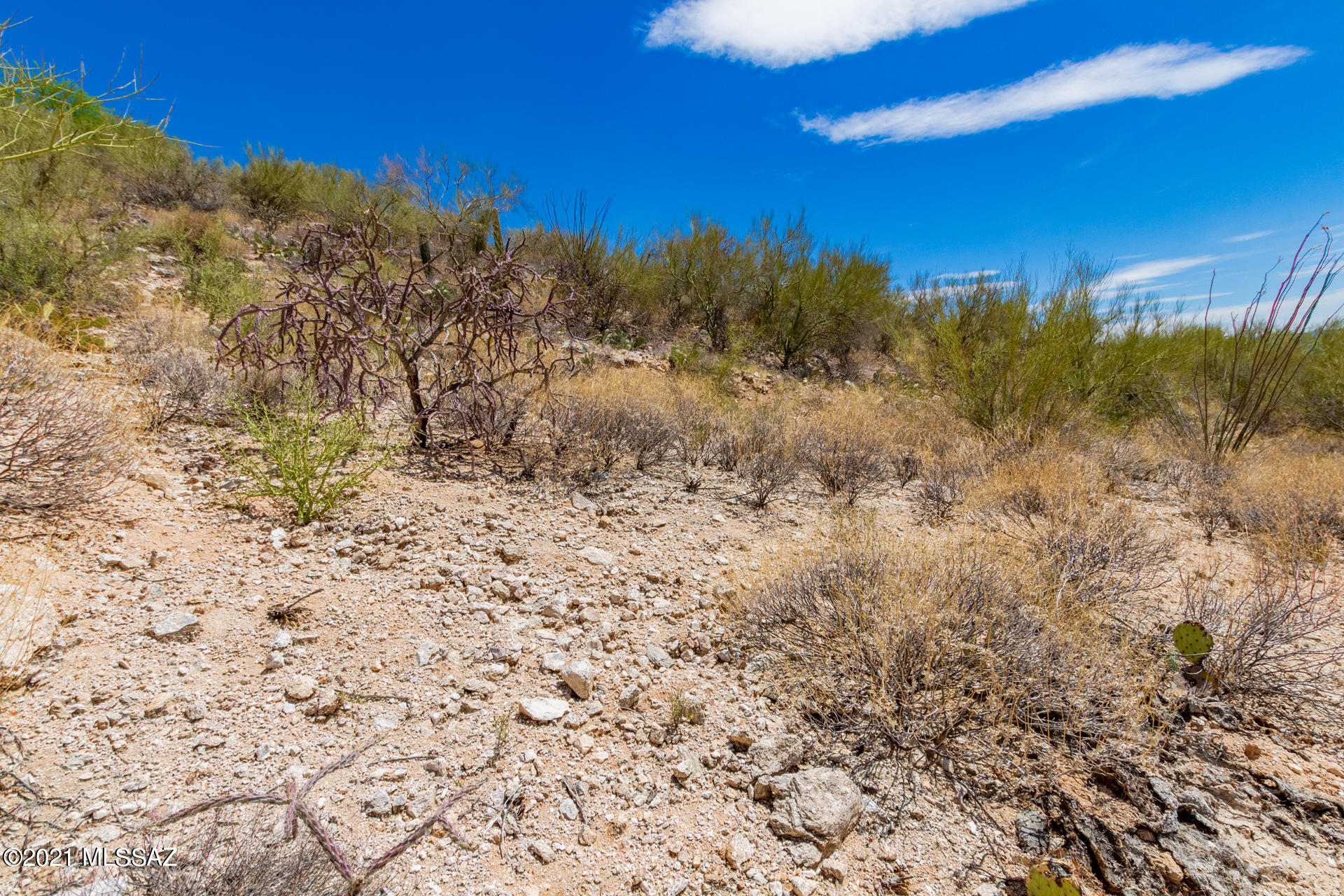 Sunnyslope(1-2) - Land