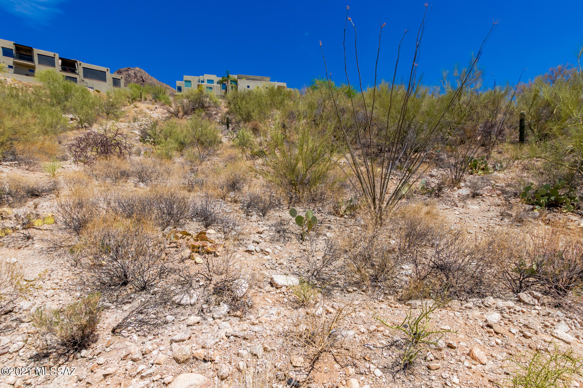 Sunnyslope(1-2) - Land