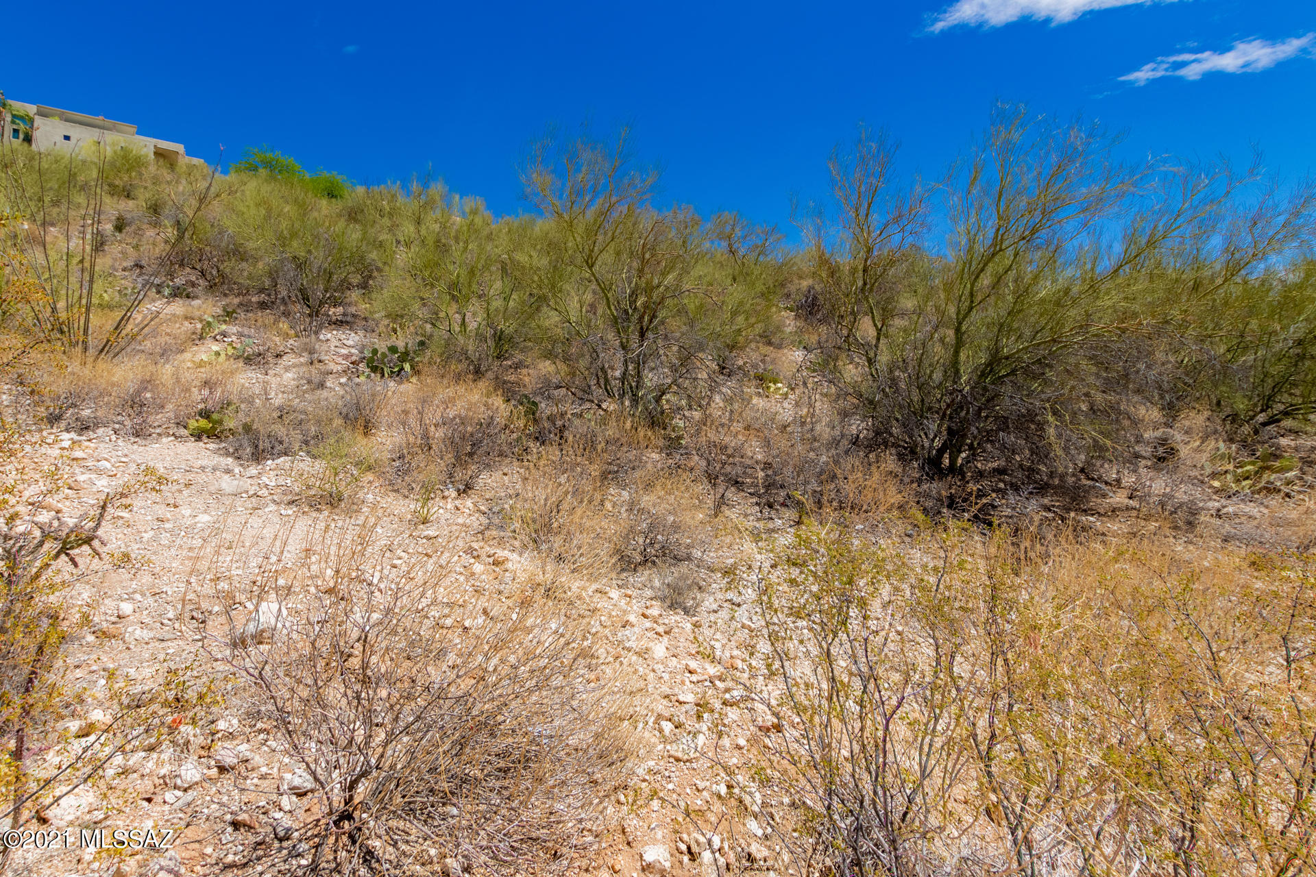 Sunnyslope(1-2) - Land
