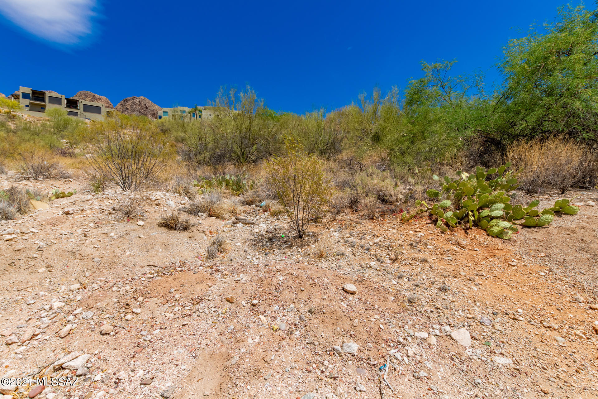 Sunnyslope(1-2) - Land