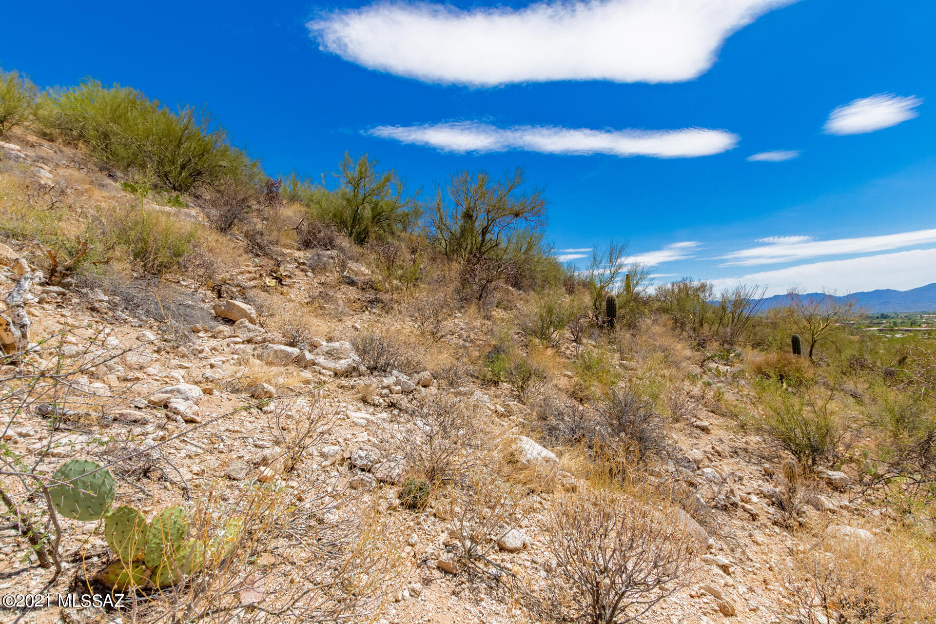 Sunnyslope(1-2) - Land