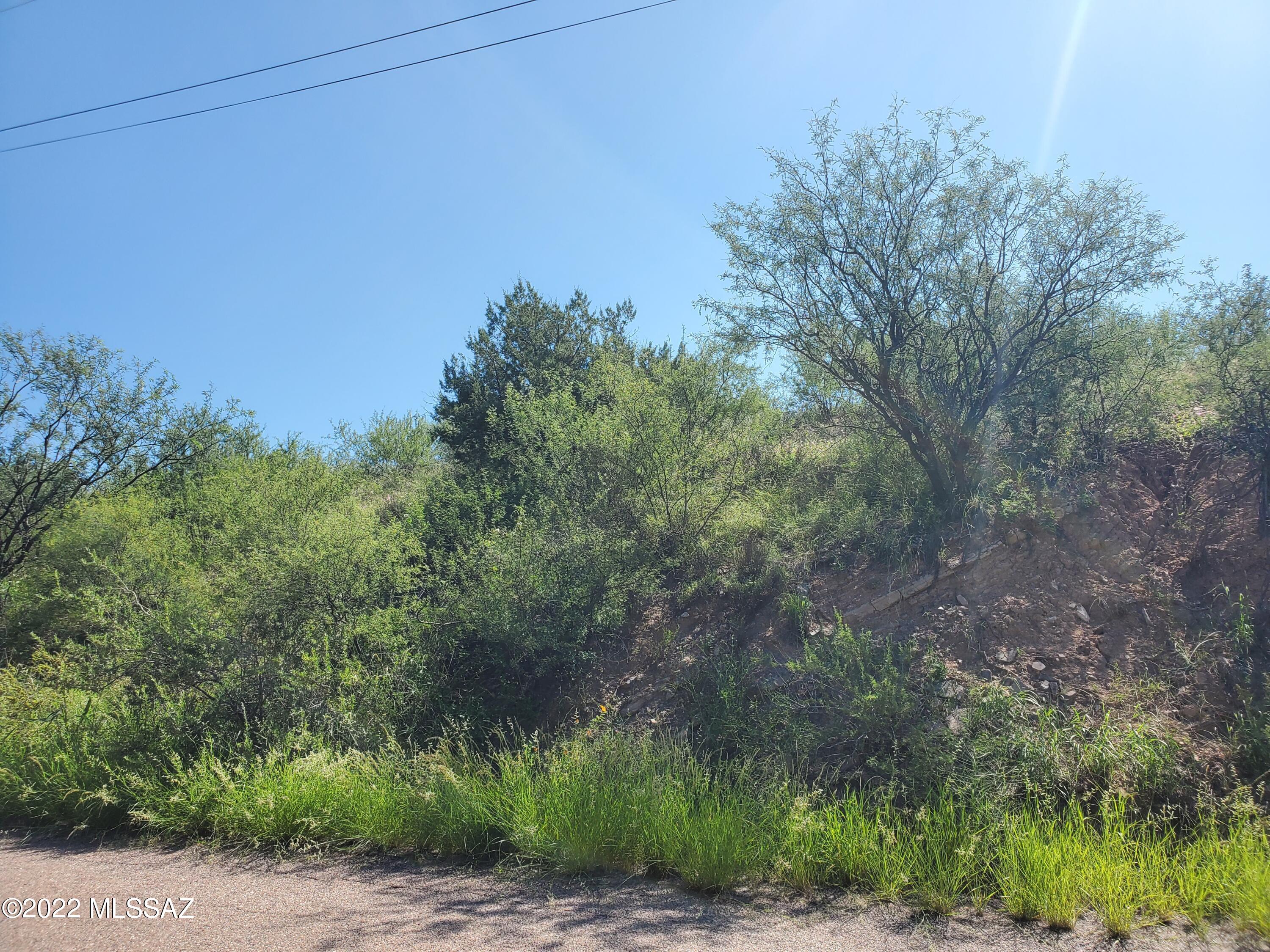 Rio Rico Ranchettes 11 - Land