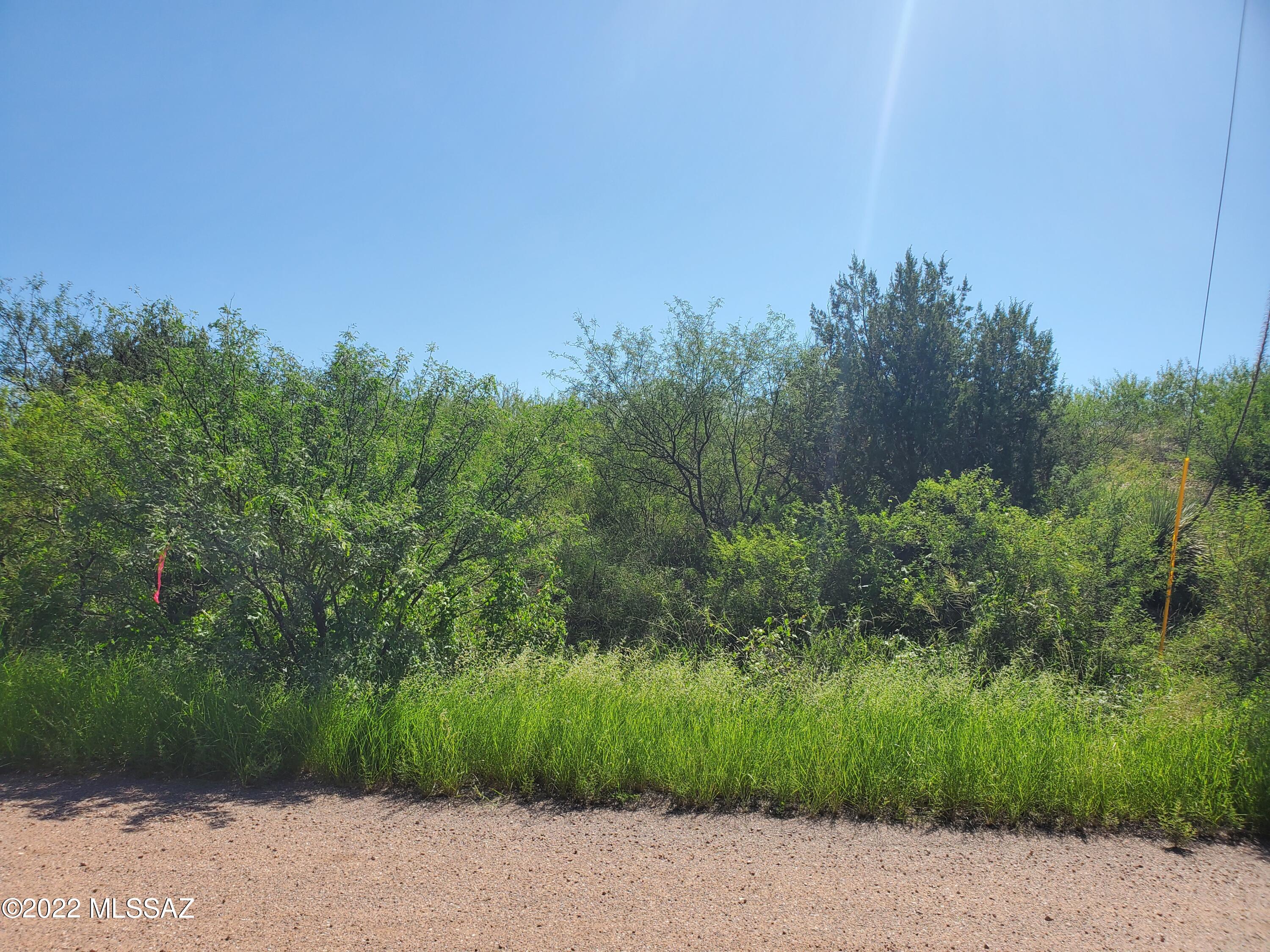Rio Rico Ranchettes 11 - Land