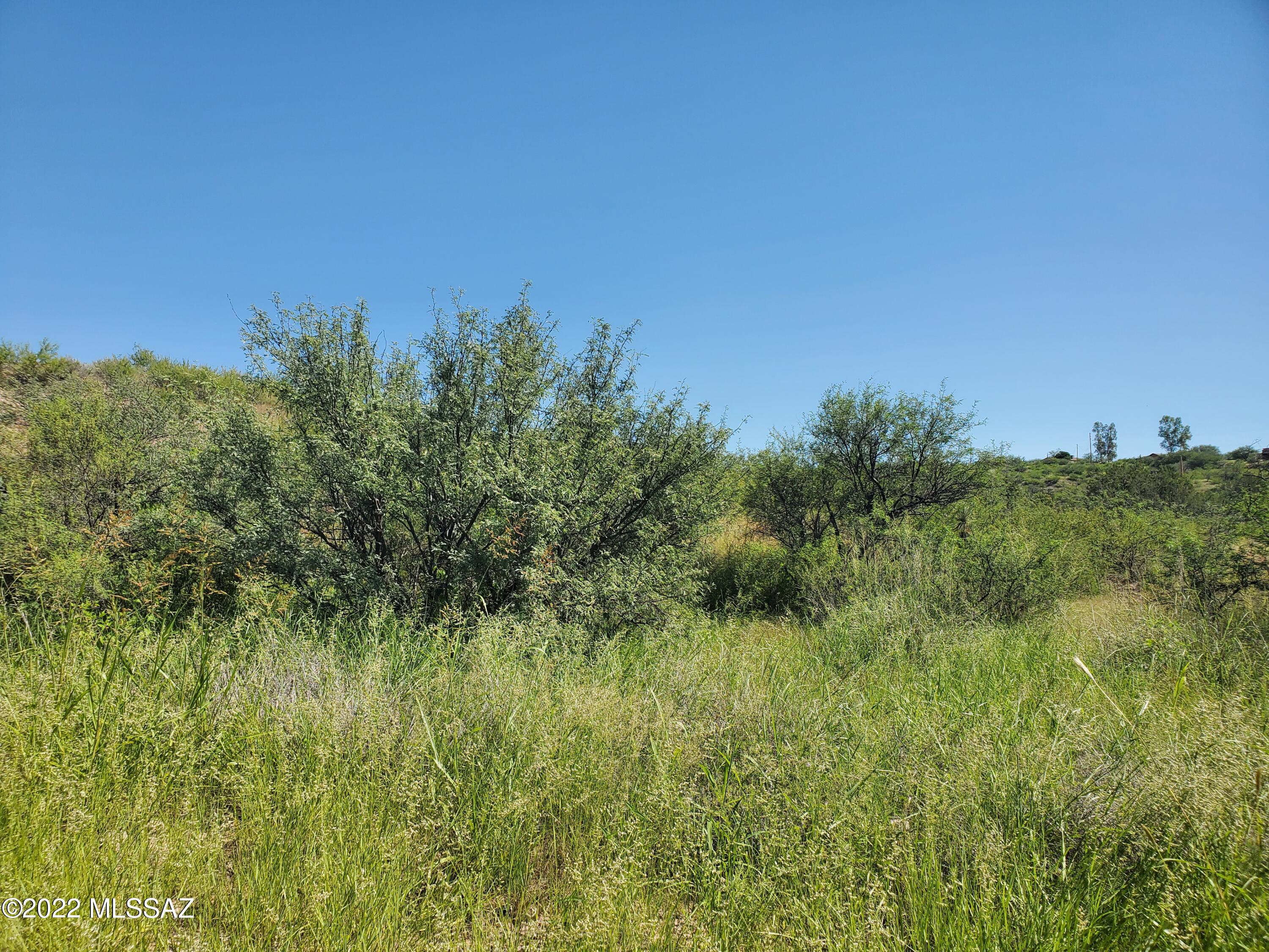 Rio Rico Ranchettes 11 - Land