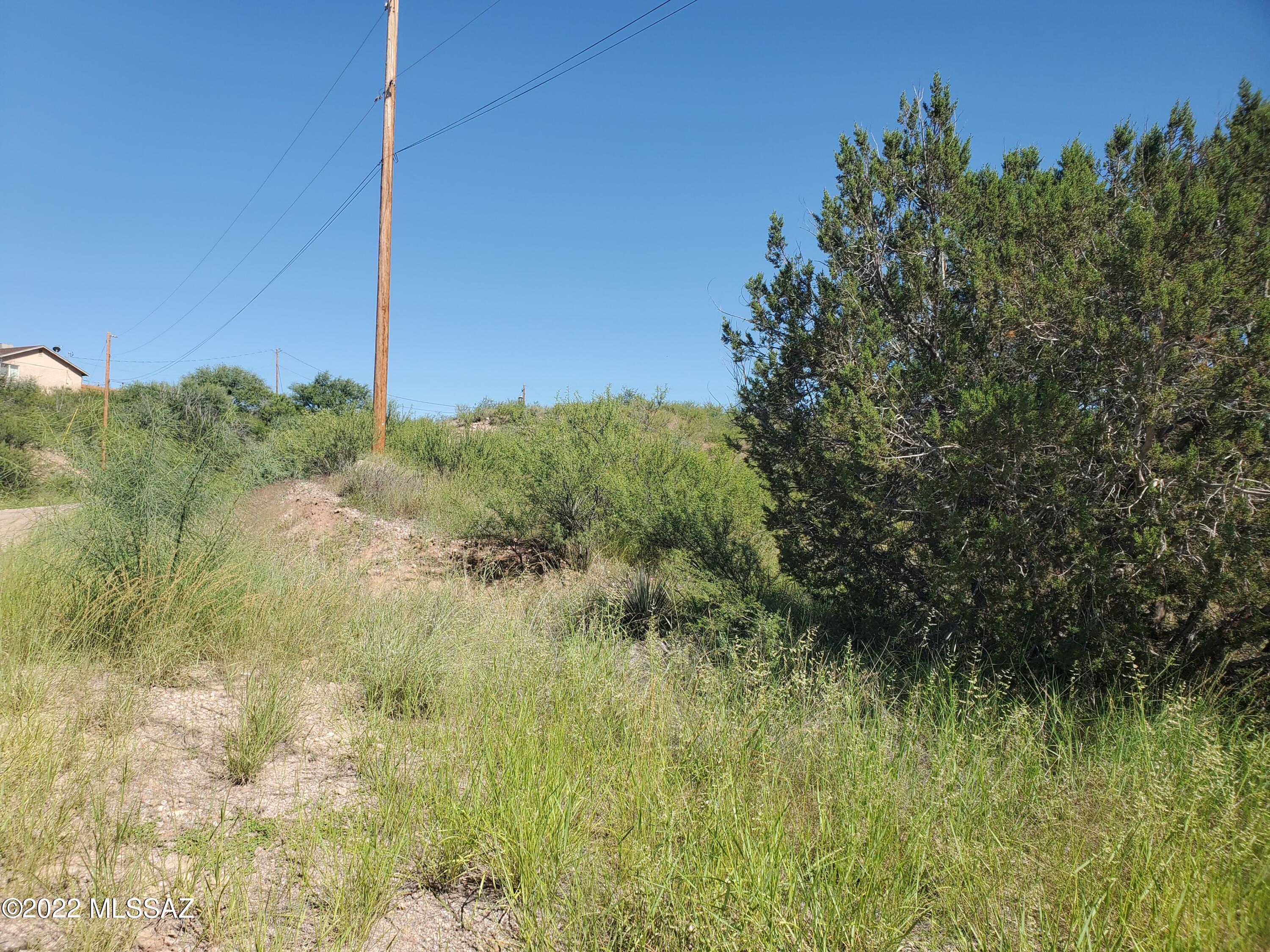 Rio Rico Ranchettes 11 - Land