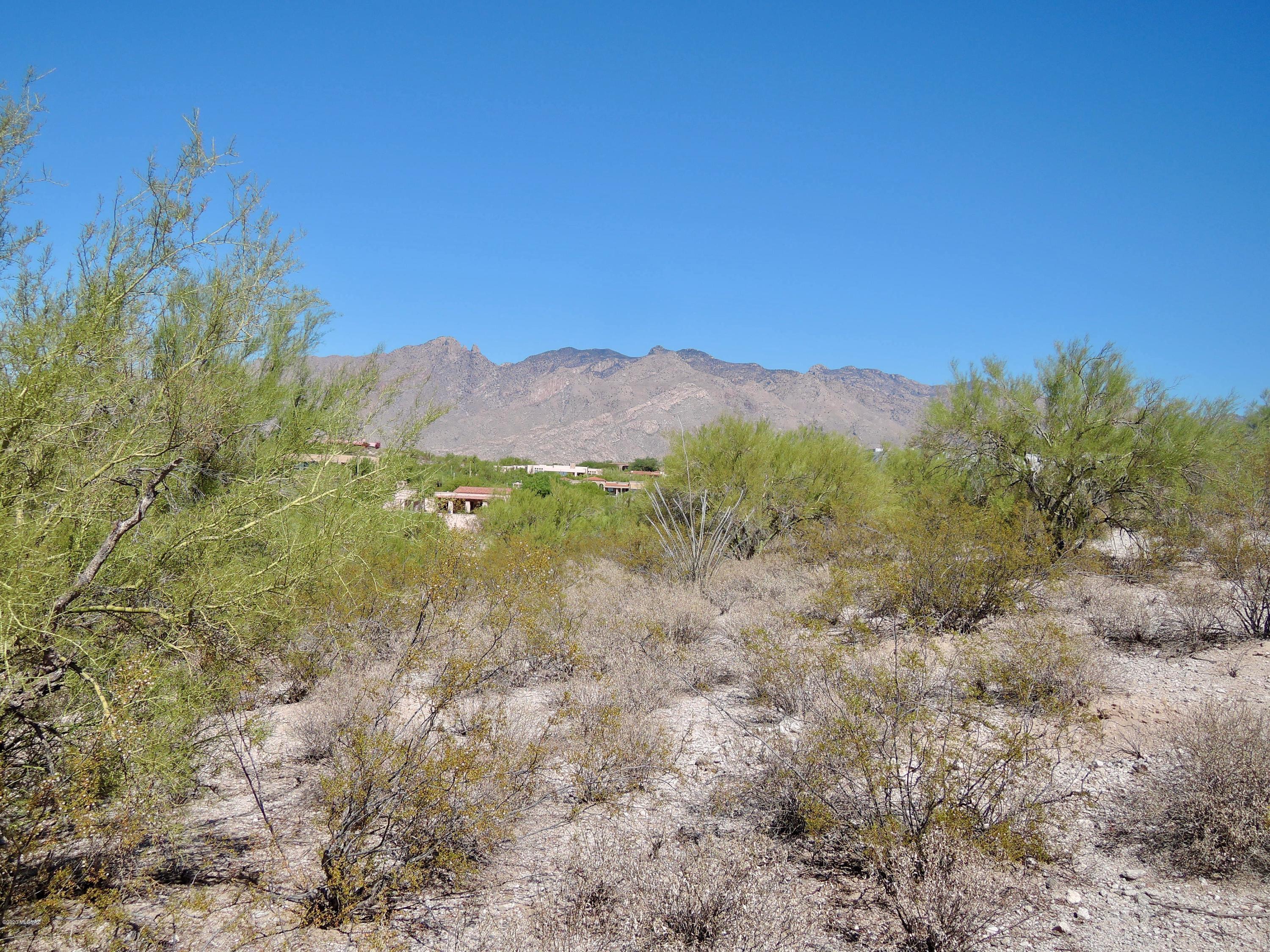 Catalina Foothills Estates NO. 10 (194-211) - Land