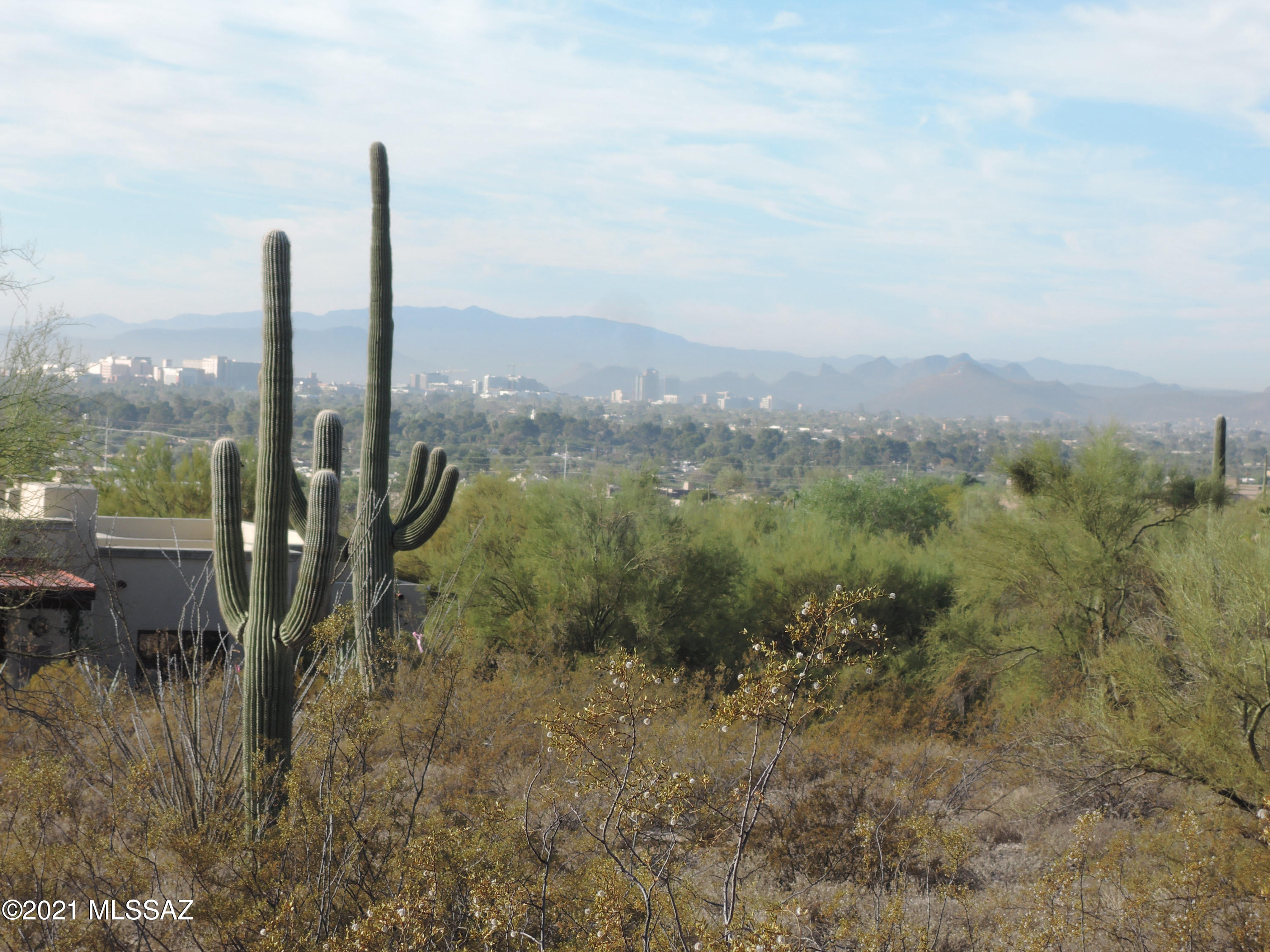 Catalina Foothills Estates NO. 10 (194-211) - Land