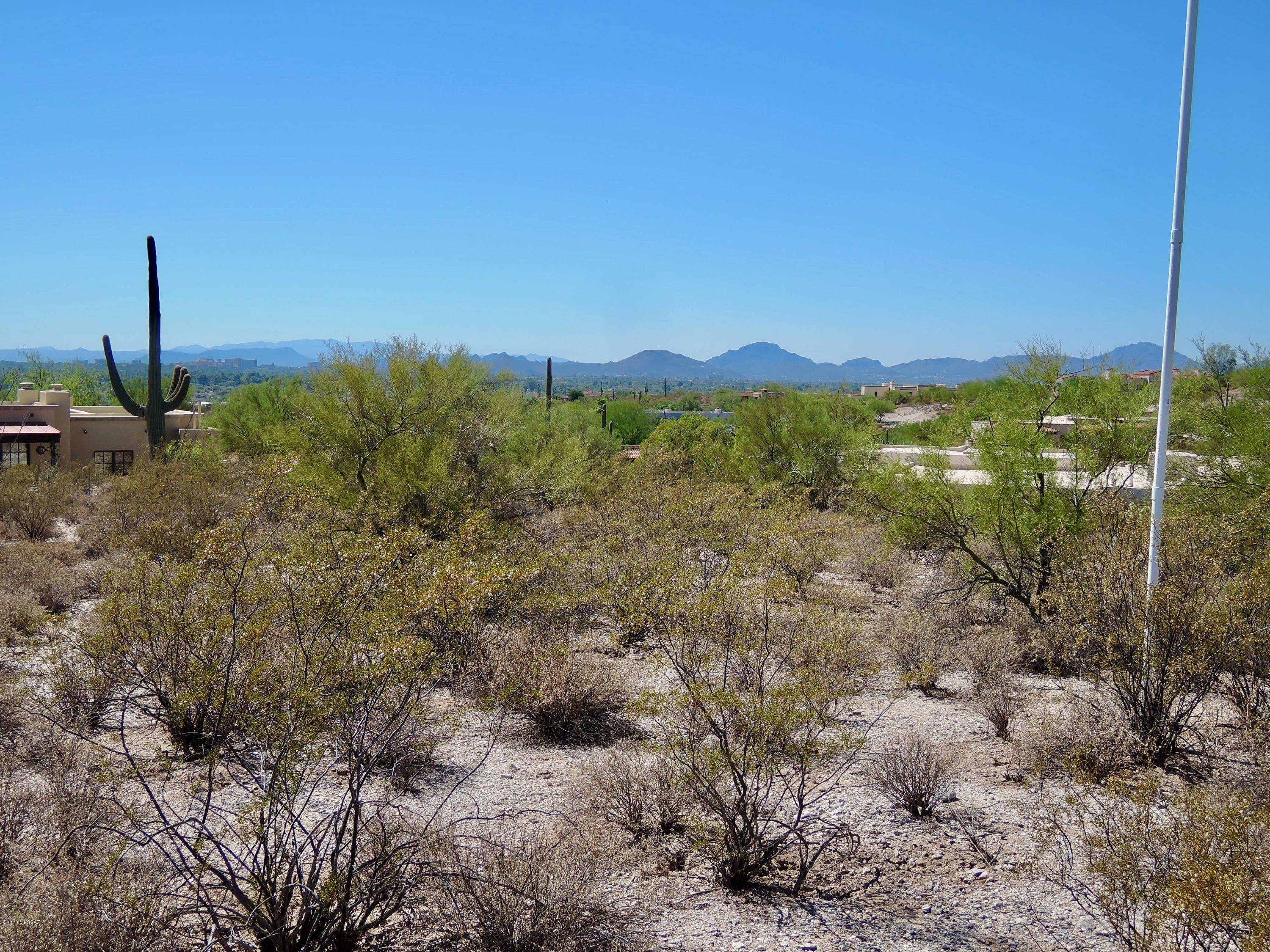 Catalina Foothills Estates NO. 10 (194-211) - Land
