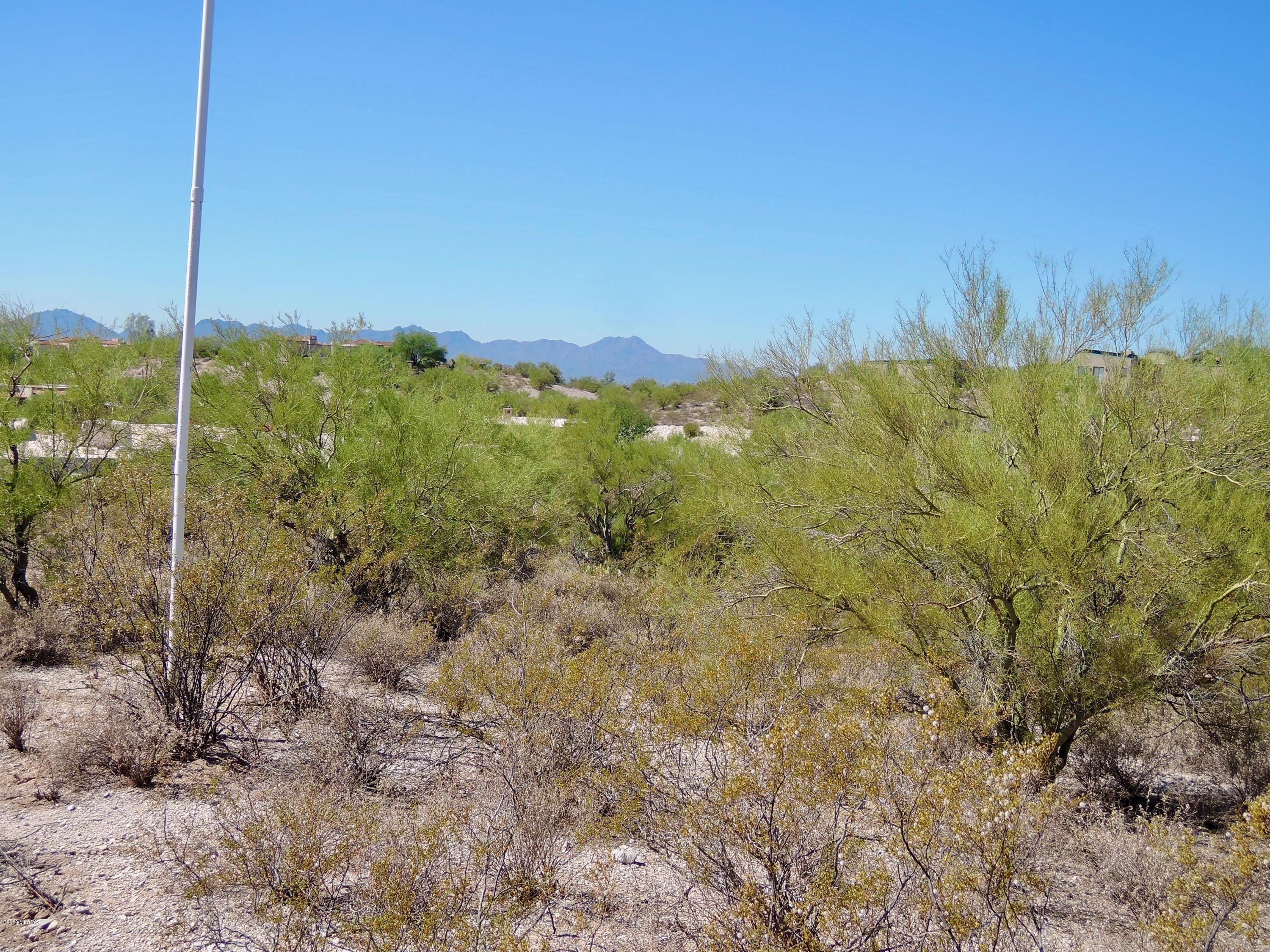 Catalina Foothills Estates NO. 10 (194-211) - Land