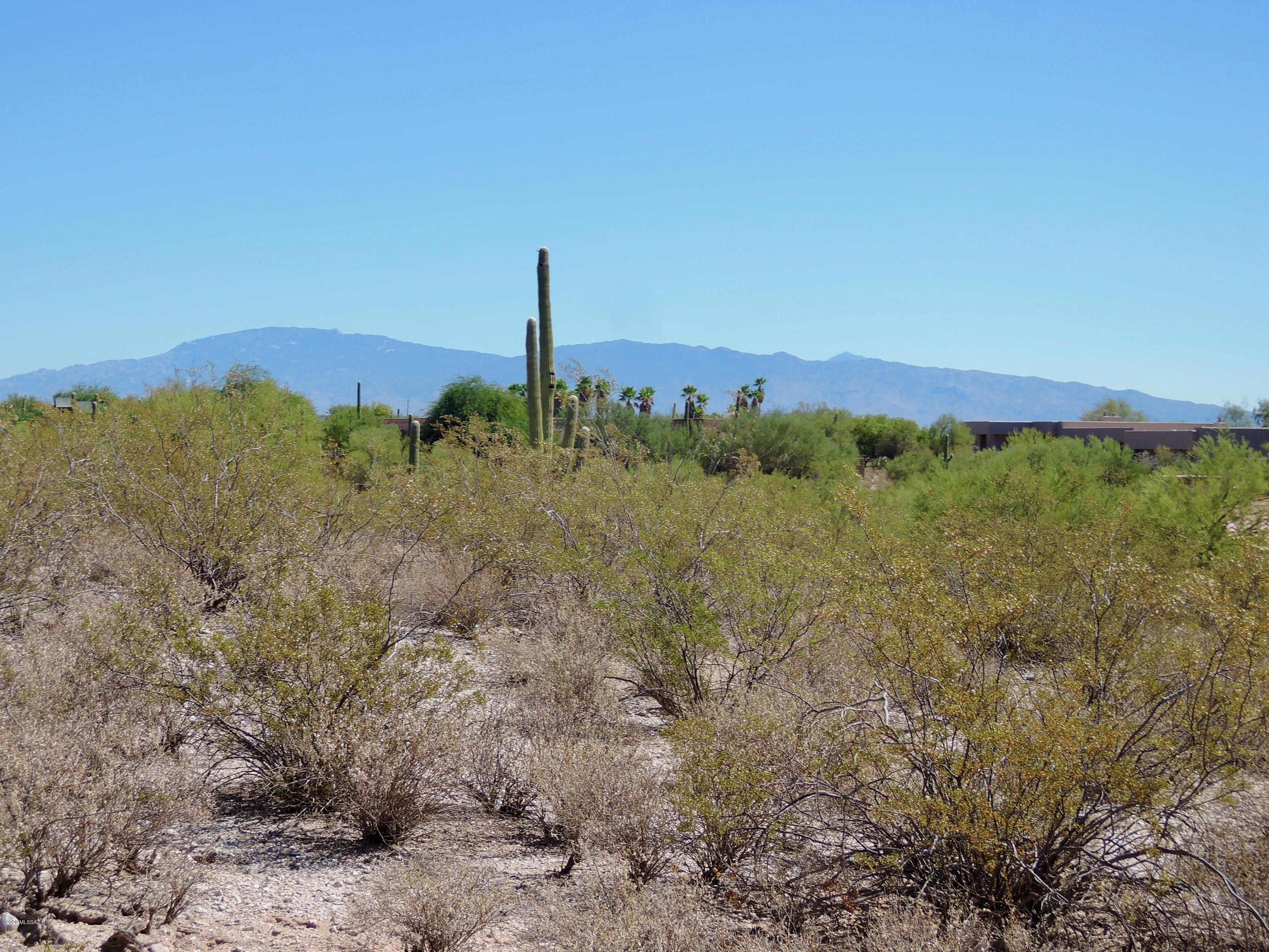 Catalina Foothills Estates NO. 10 (194-211) - Land