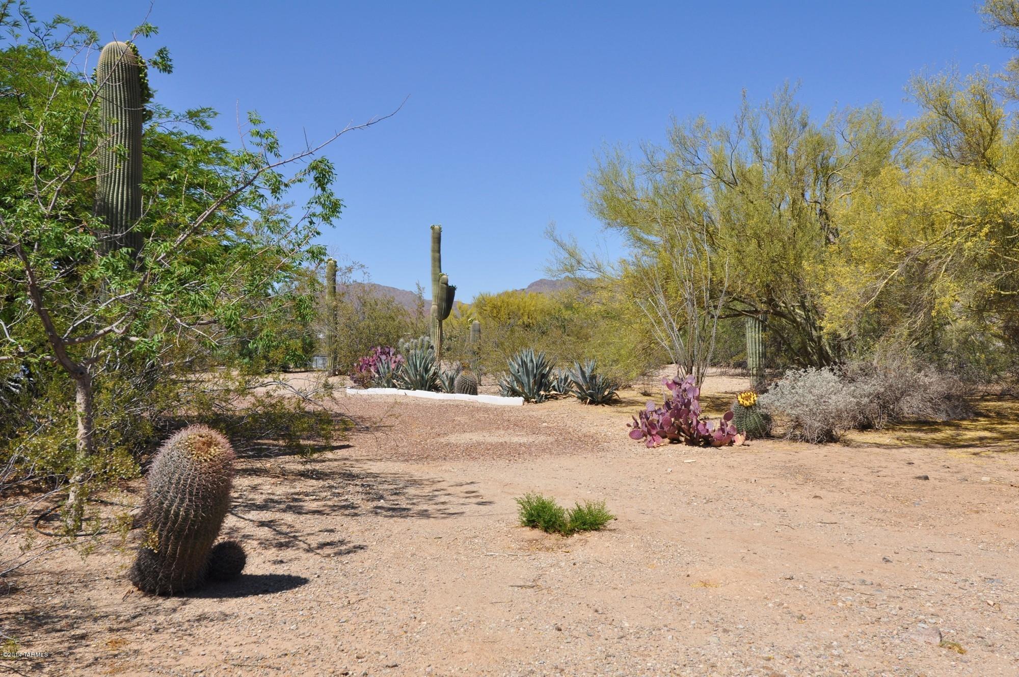 Tucson Saguaro Estates (1-67) - Residential