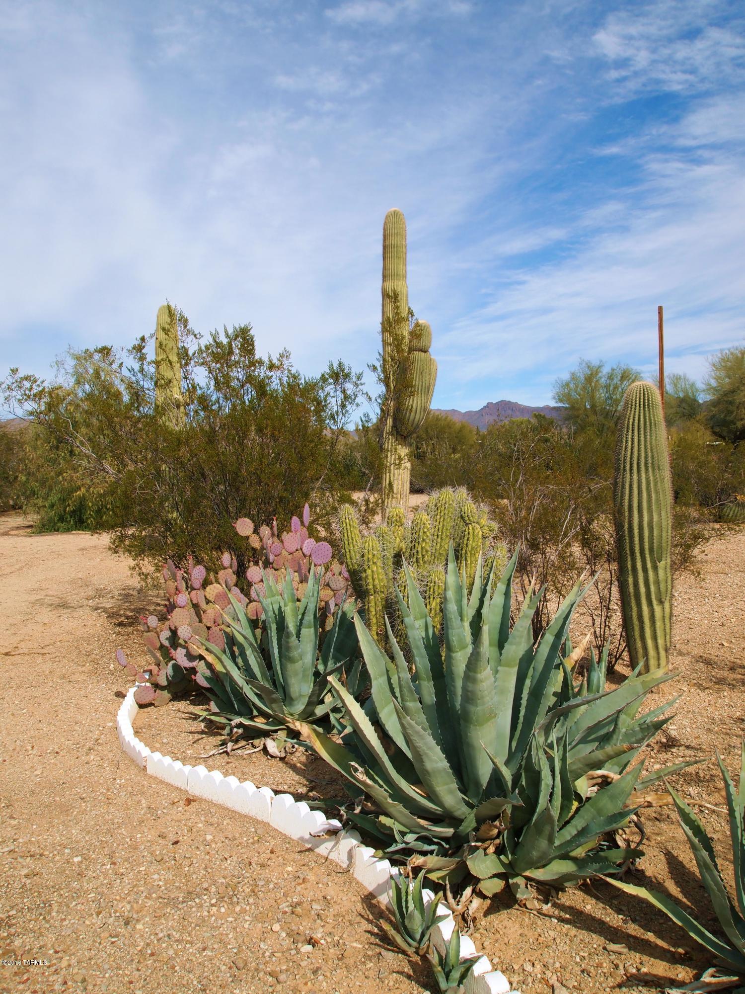 Tucson Saguaro Estates (1-67) - Residential