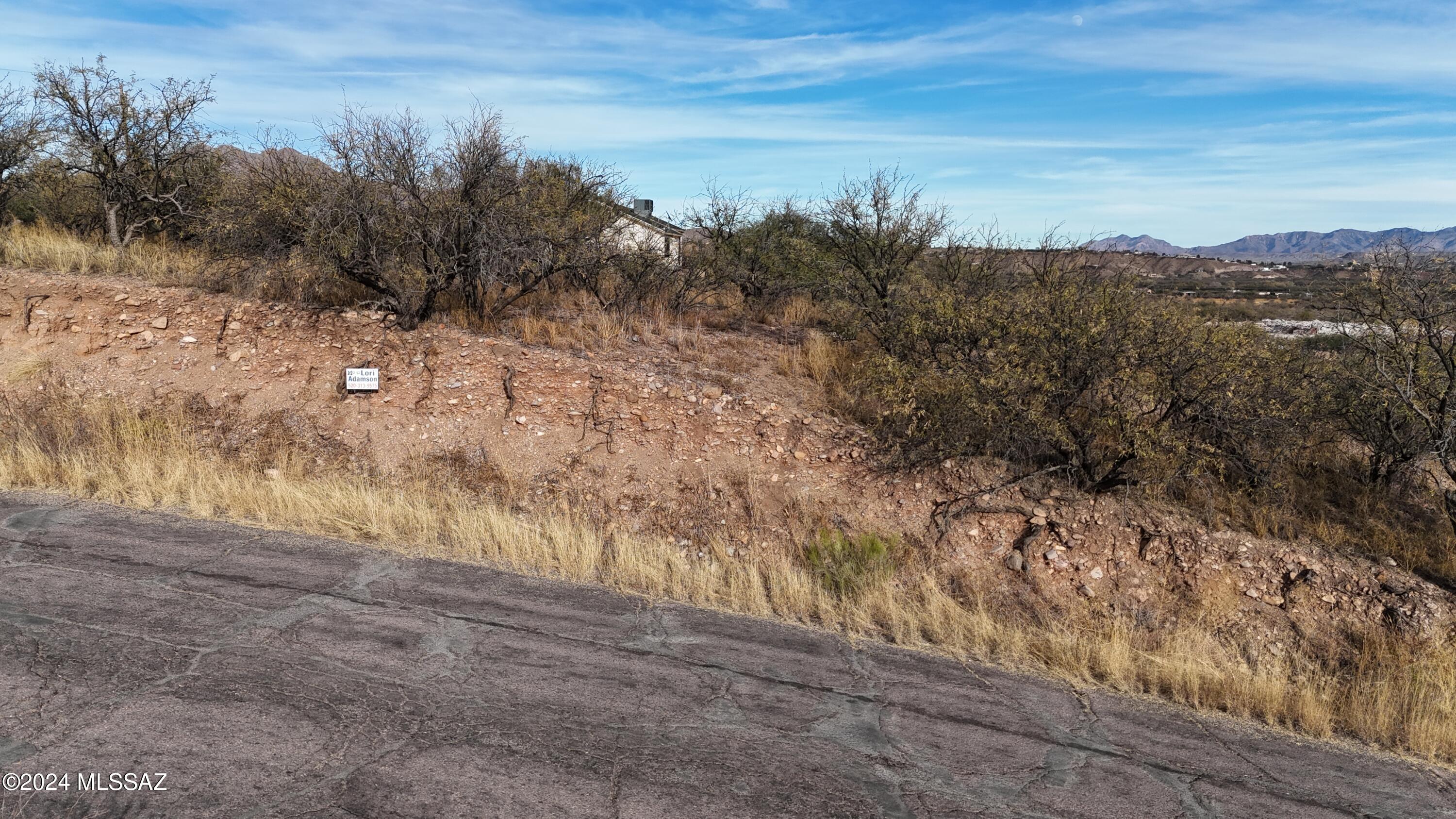 Rio Rico Estates 4 - Land