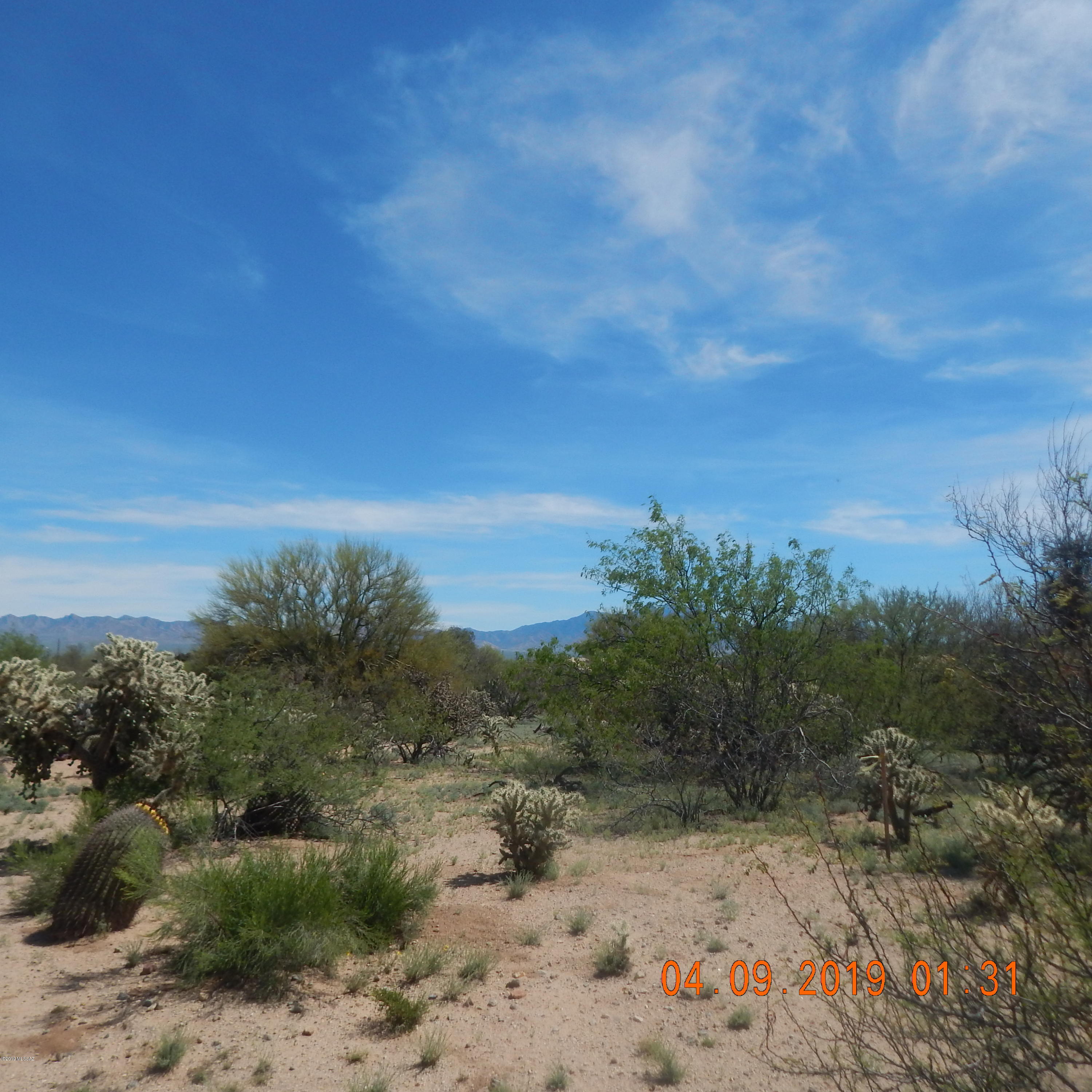 Rancho Buena Vista (1-29) - Land