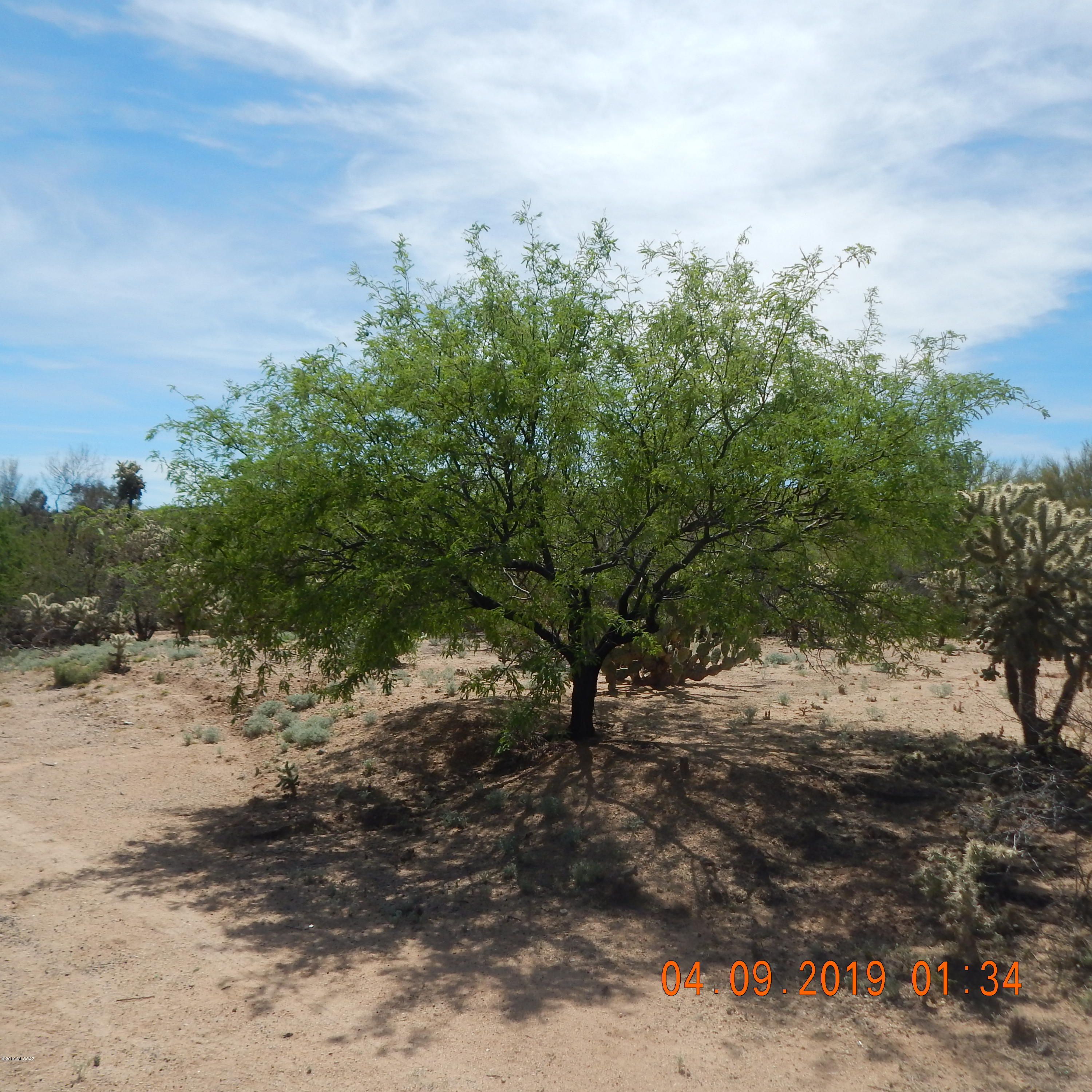 Rancho Buena Vista (1-29) - Land
