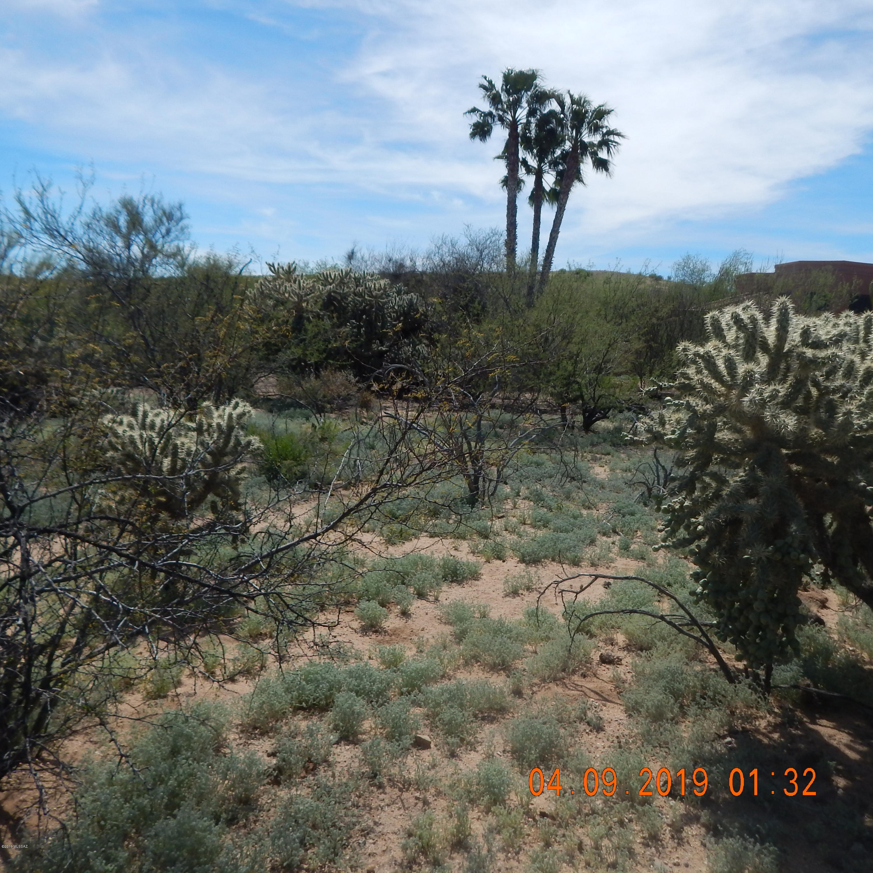 Rancho Buena Vista (1-29) - Land
