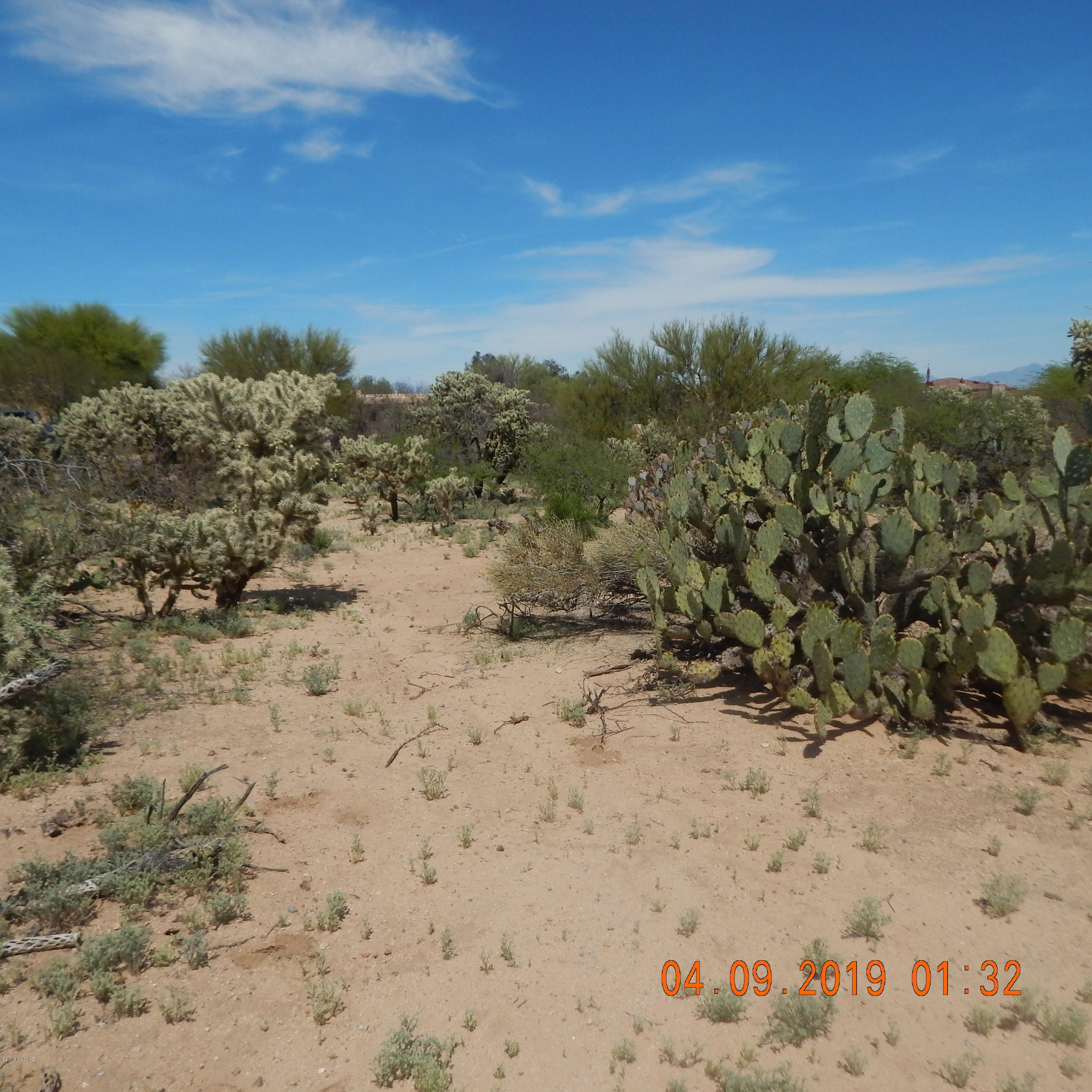 Rancho Buena Vista (1-29) - Land