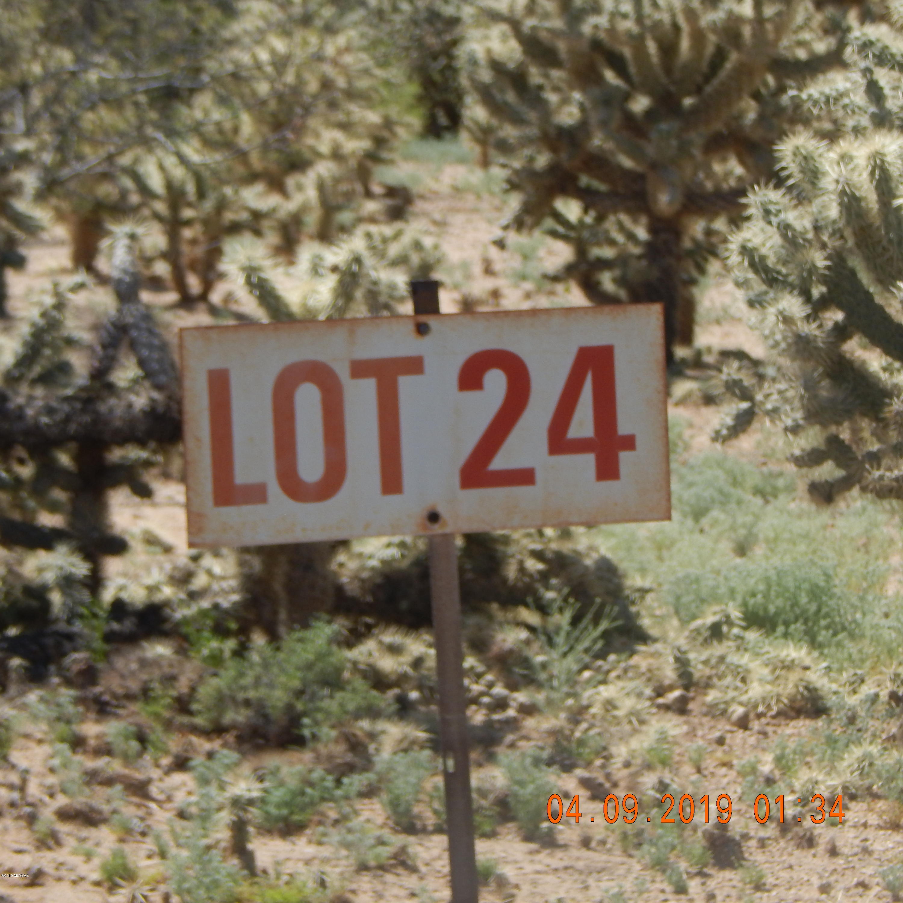 Rancho Buena Vista (1-29) - Land