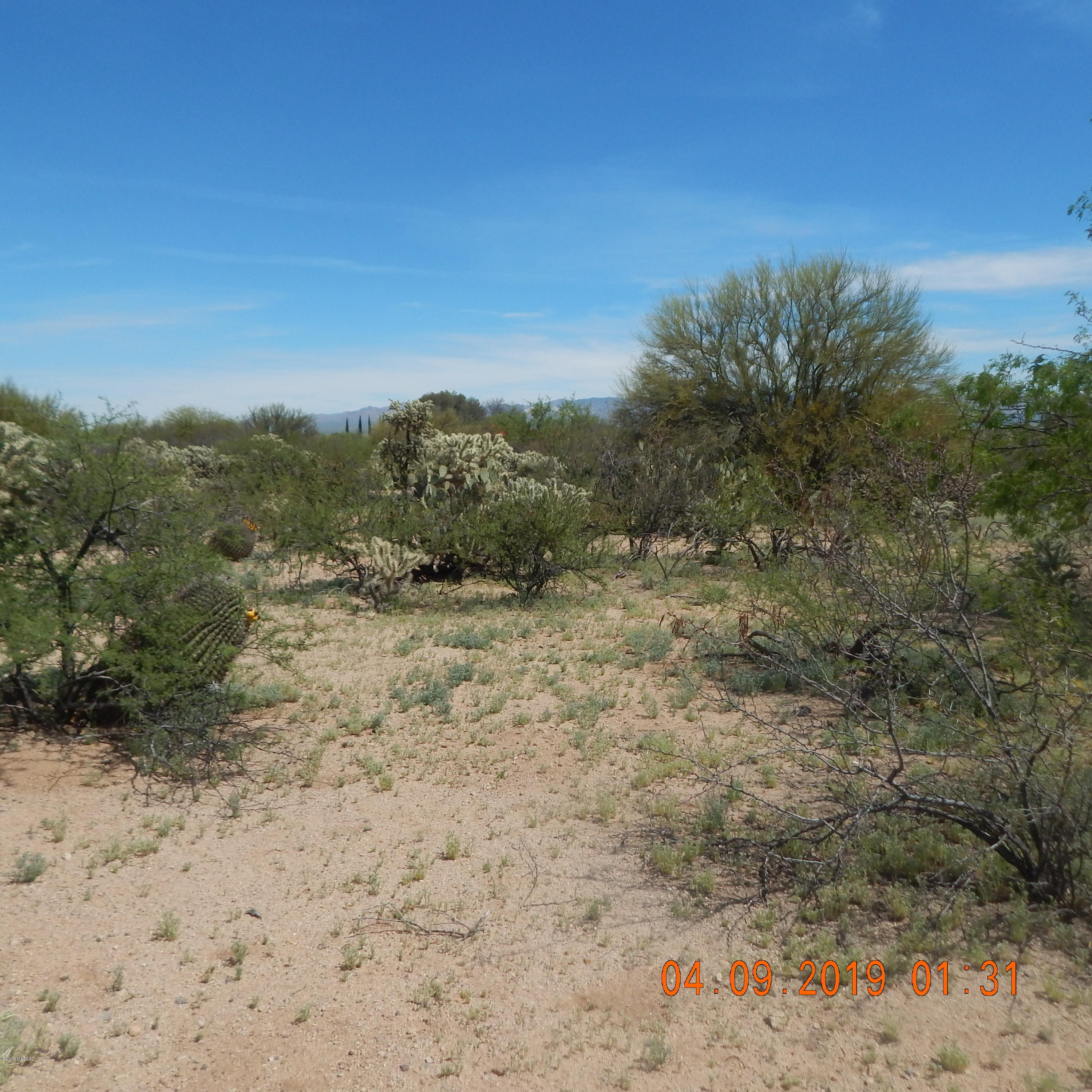 Rancho Buena Vista (1-29) - Land